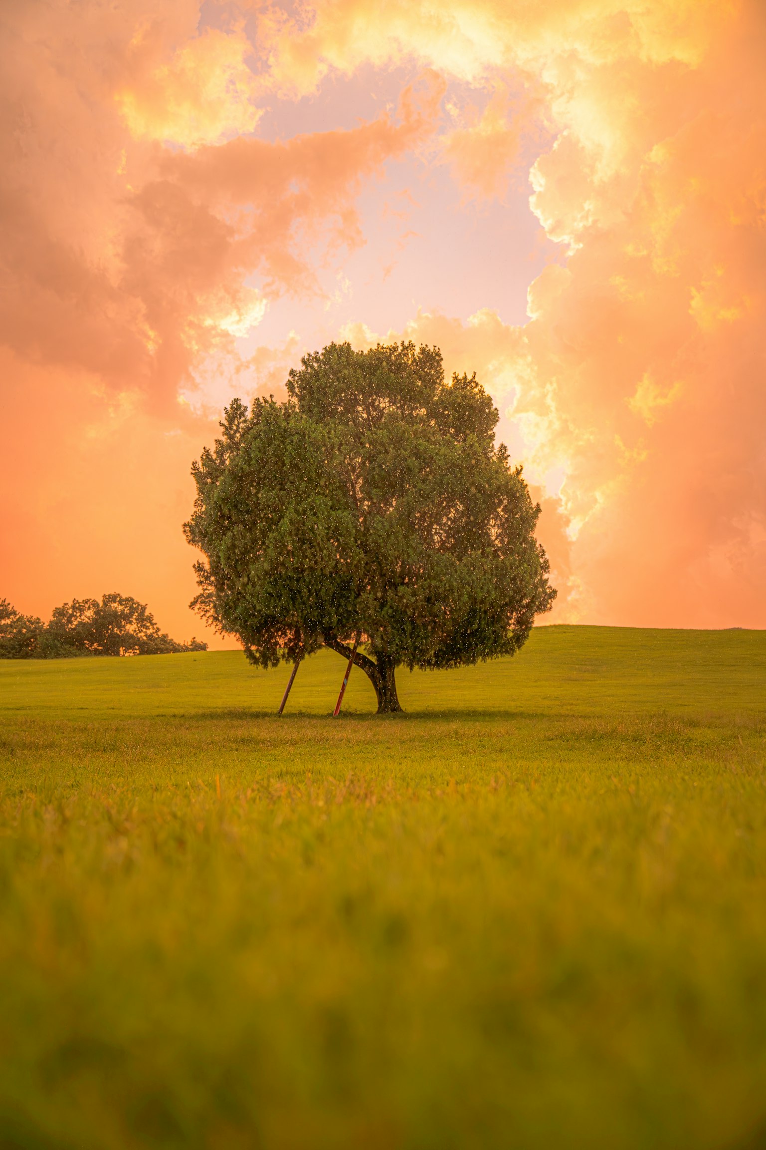 photo-mJEwjyKac0DfF7f1OJY5-image