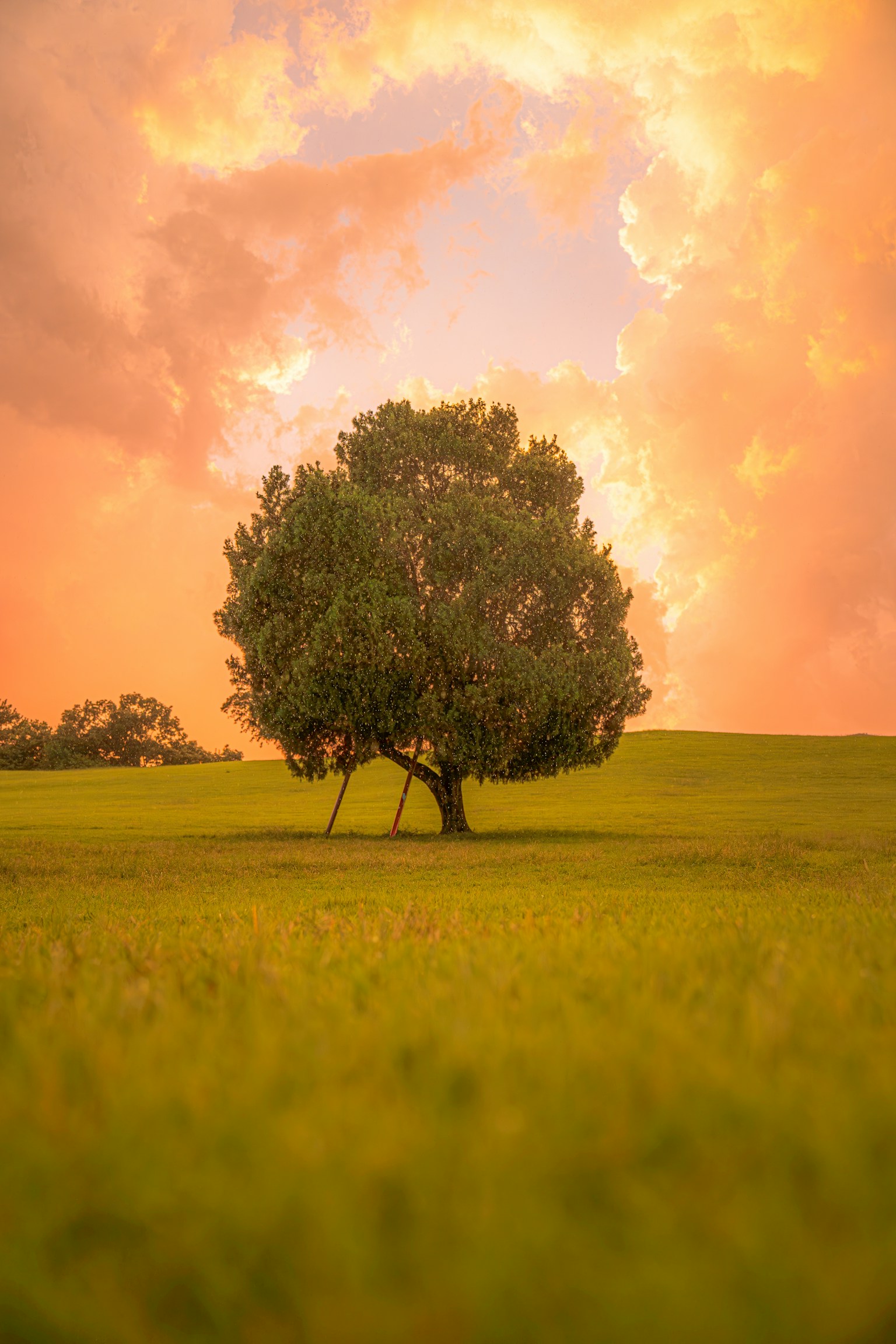 photo-mJEwjyKac0DfF7f1OJY5-image