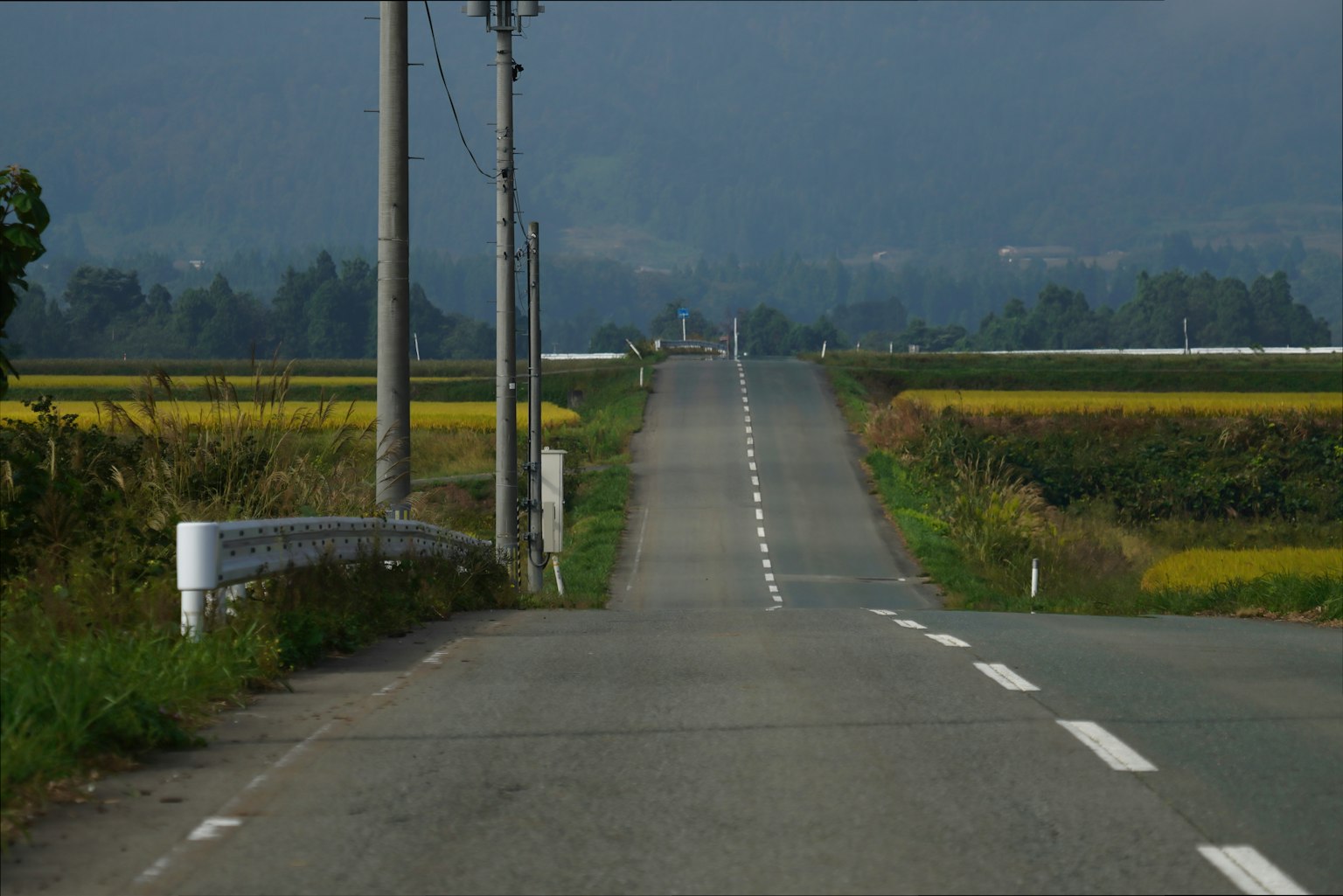穿越鄉村景觀的直路和電線杆