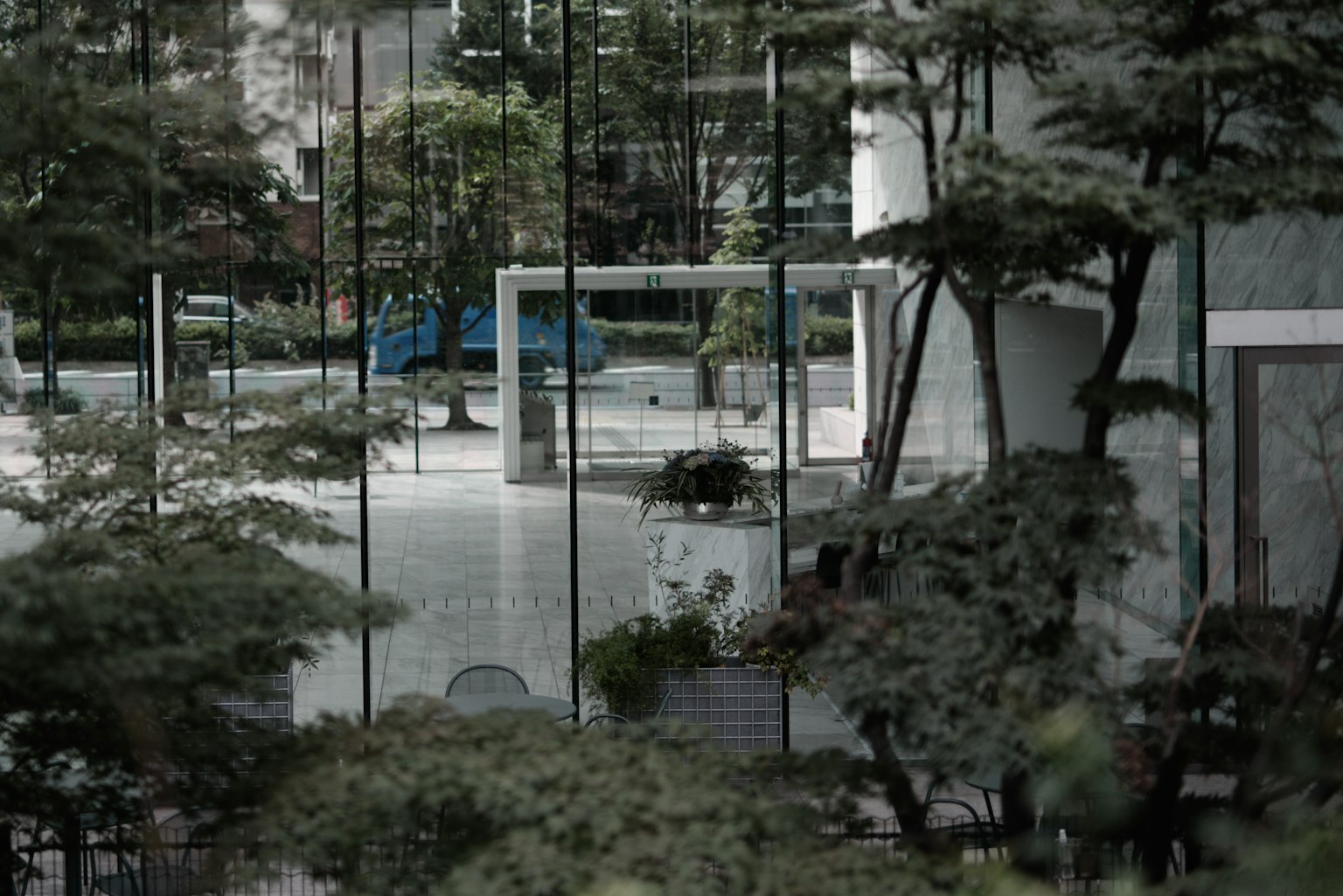 Vista di un giardino urbano tranquillo con vegetazione delicata e strutture in vetro