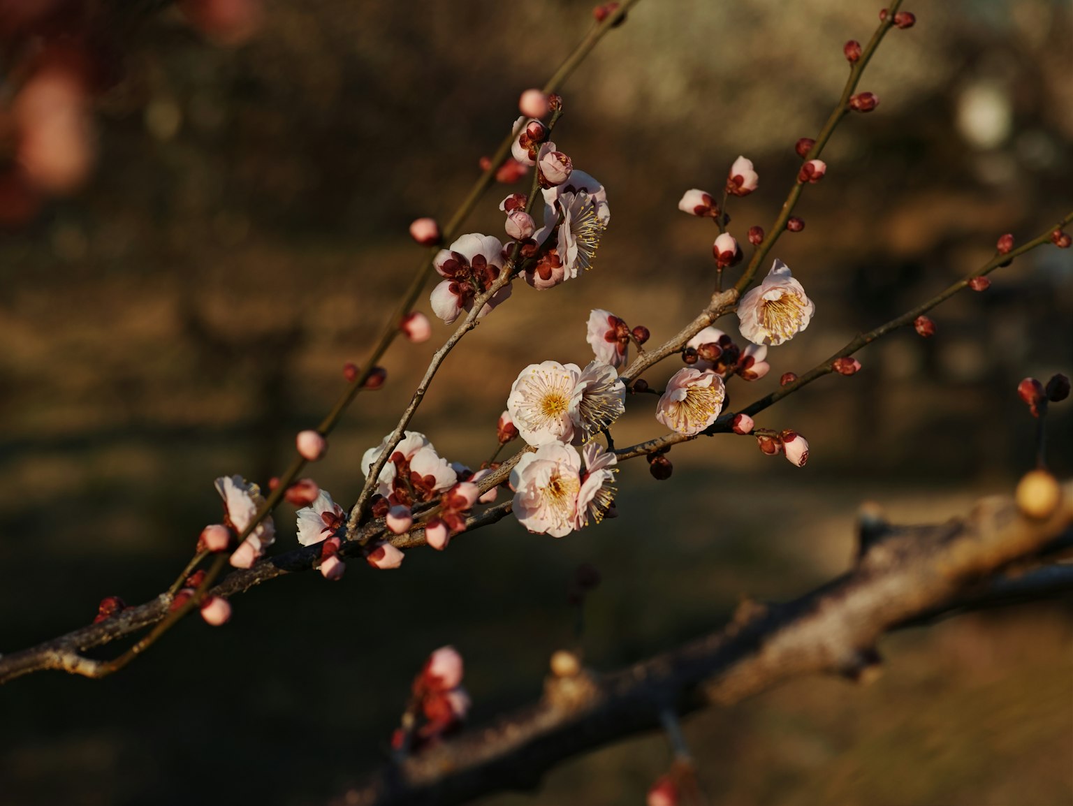 photo-mJx81UlBAaLP0xxjWMzF-image