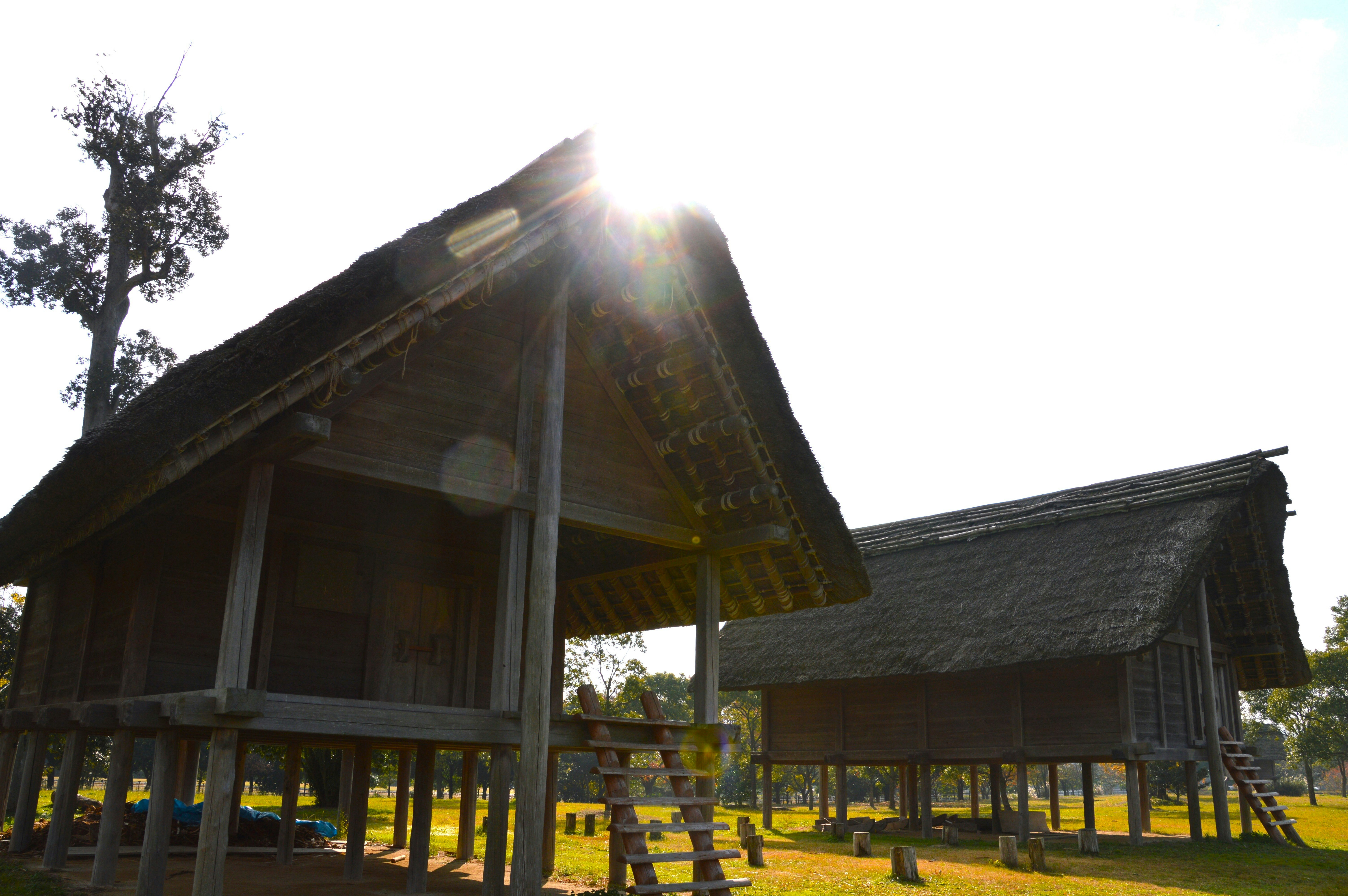 福岡県朝倉市の弥生時代集落遺跡「平塚川添遺跡」の復元建物画像