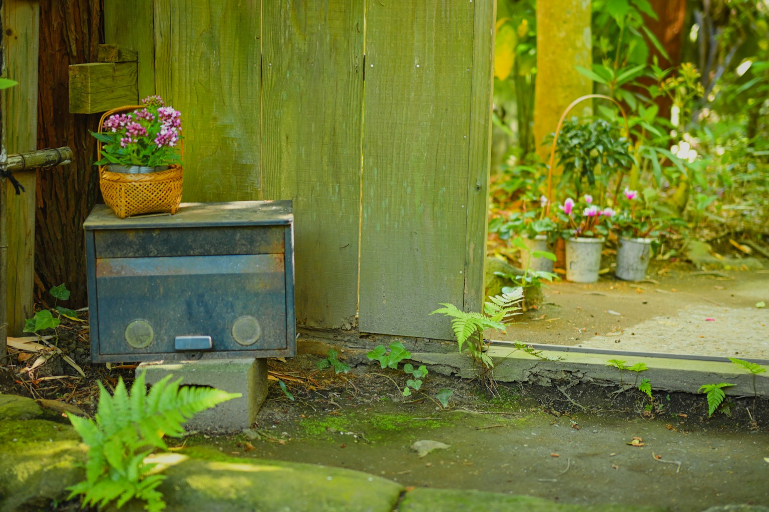 A vintage radio next to a basket of flowers in a garden surrounded by greenery