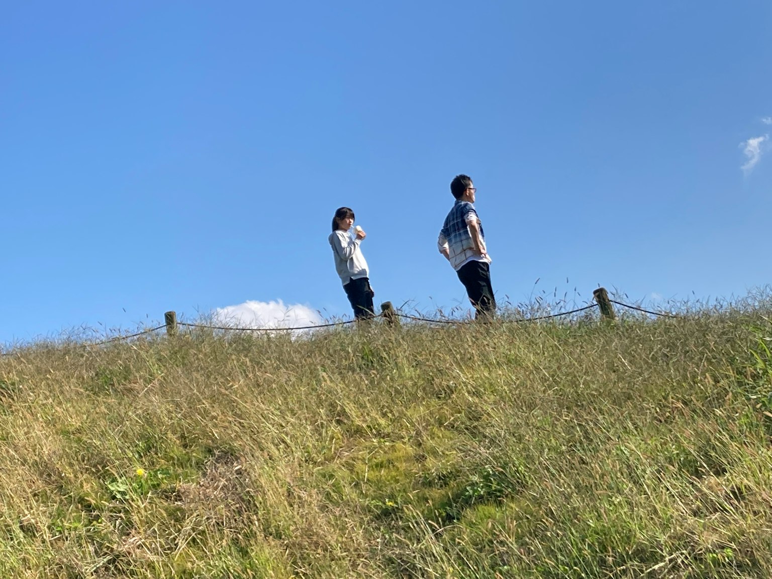 在蓝天和绿草下站在山坡上的两个人