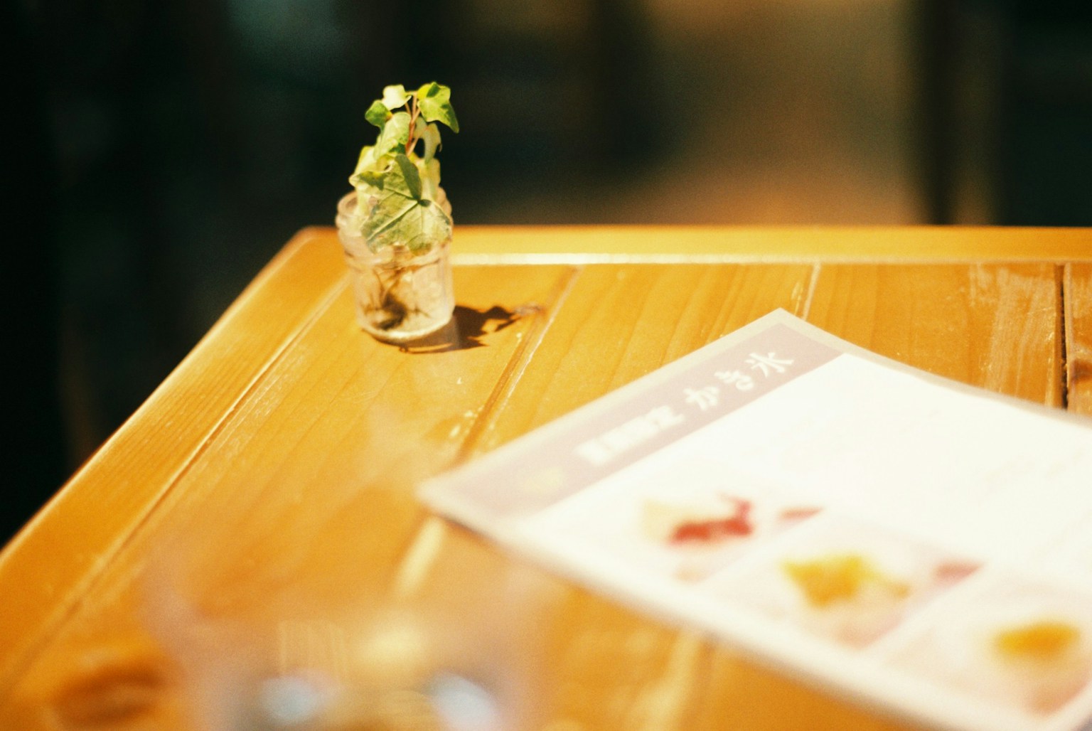 Une petite plante dans un verre et un menu sur une table en bois