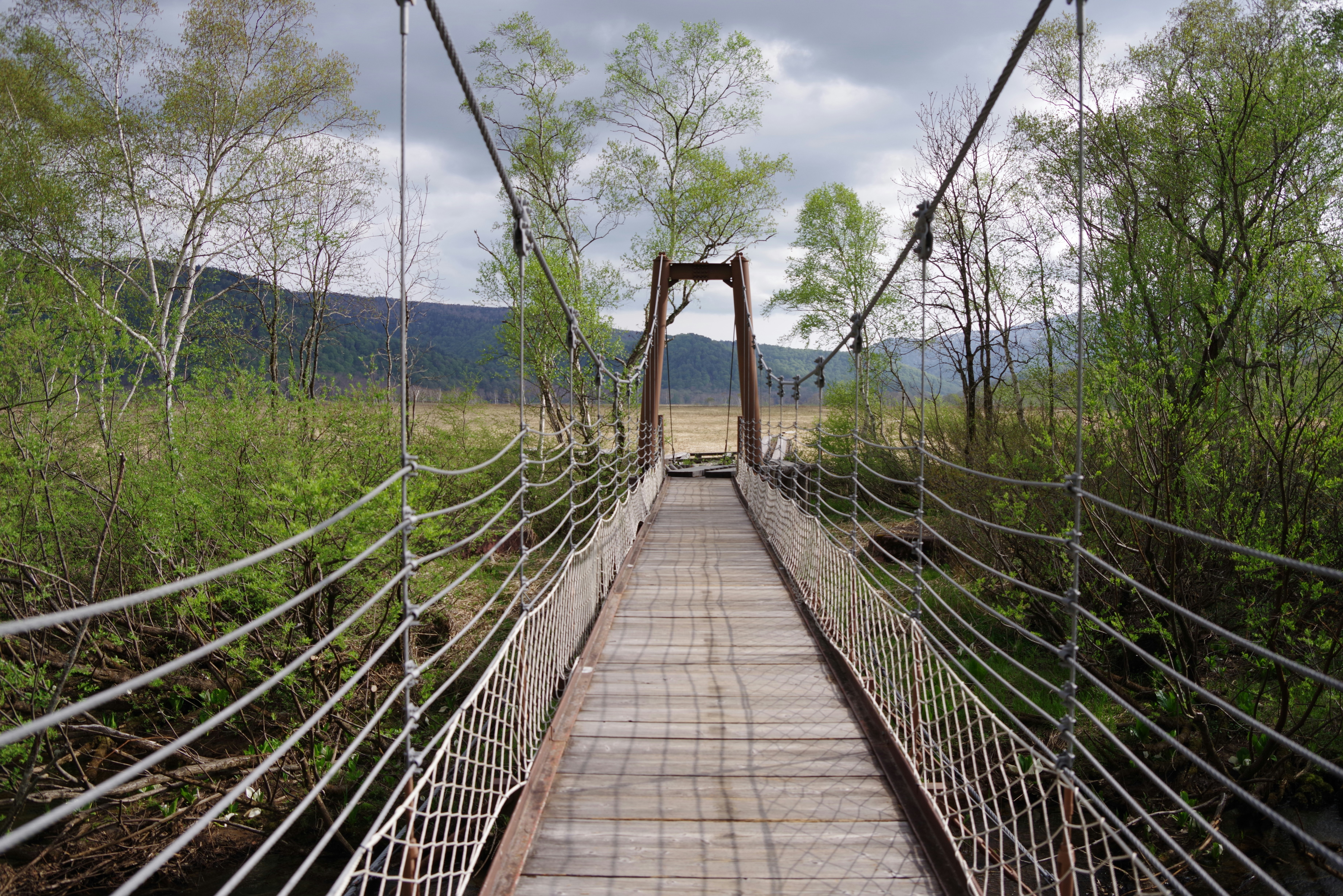 春季山間橋上步道
