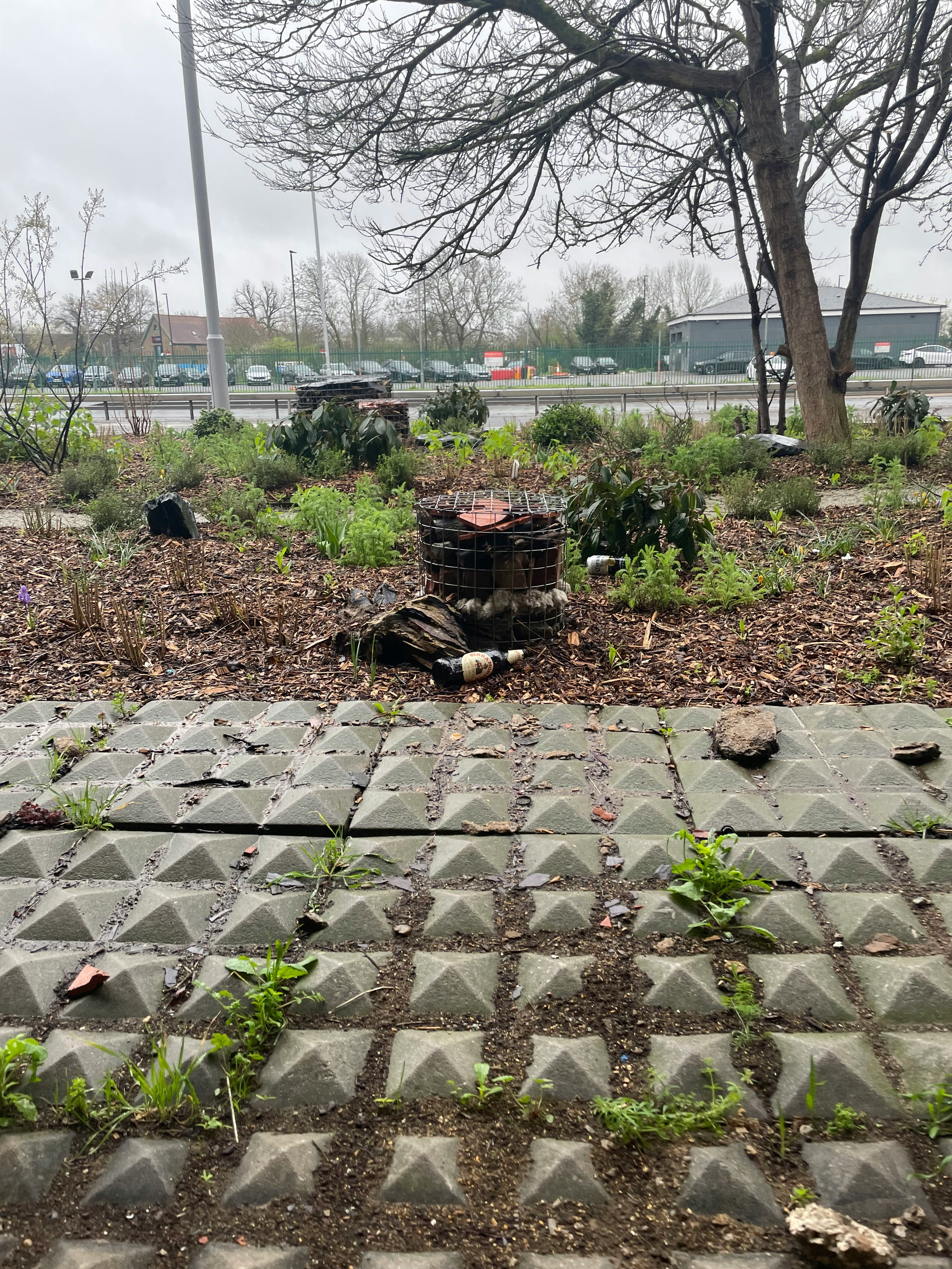 公園の植栽帯に並ぶコンクリートの防護ブロックと落ち葉