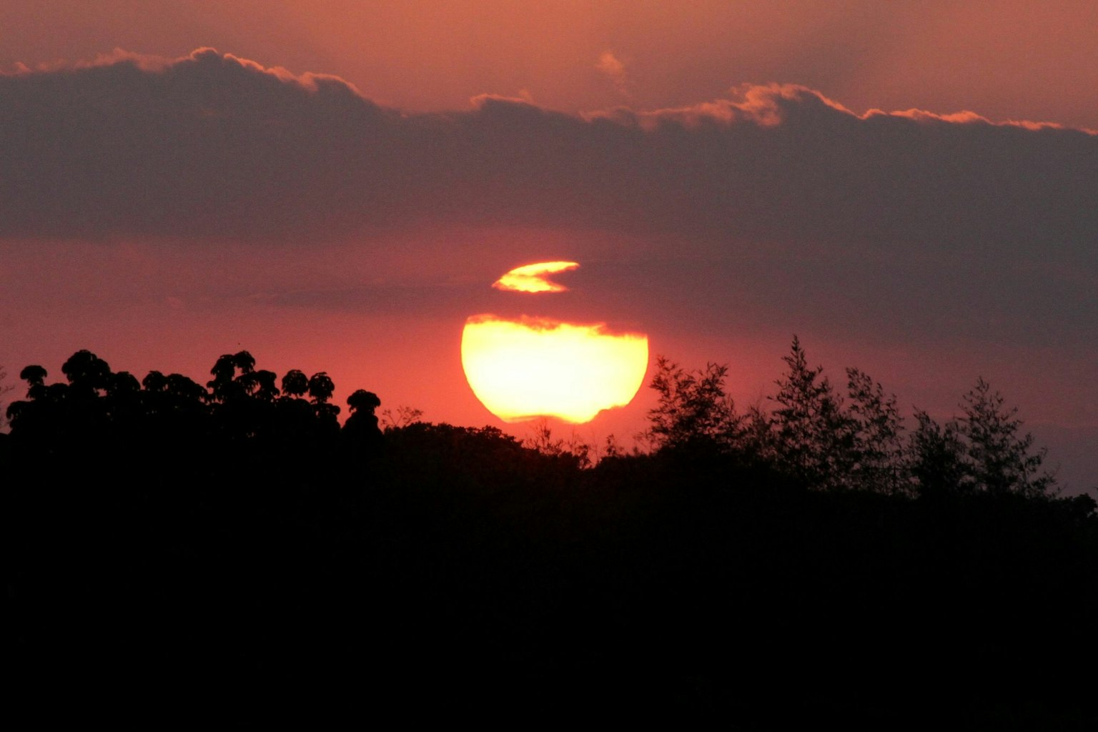 Matahari terbenam terlihat melalui awan dengan siluet pohon di latar depan
