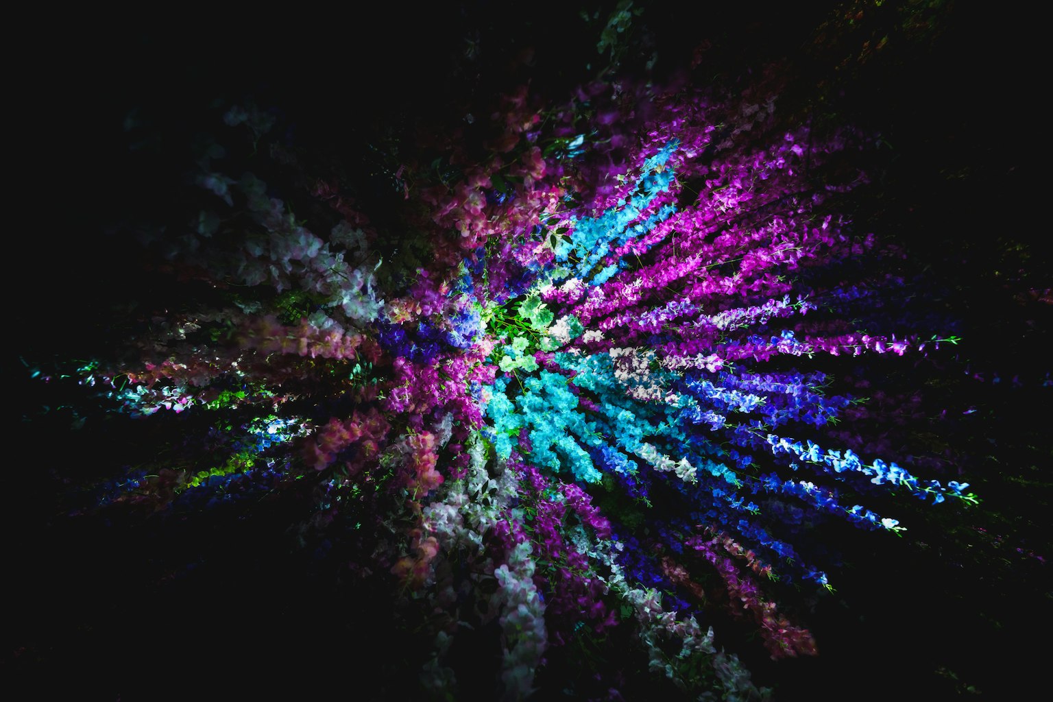 Effetti colorati simili a fuochi d'artificio che si diffondono su uno sfondo nero
