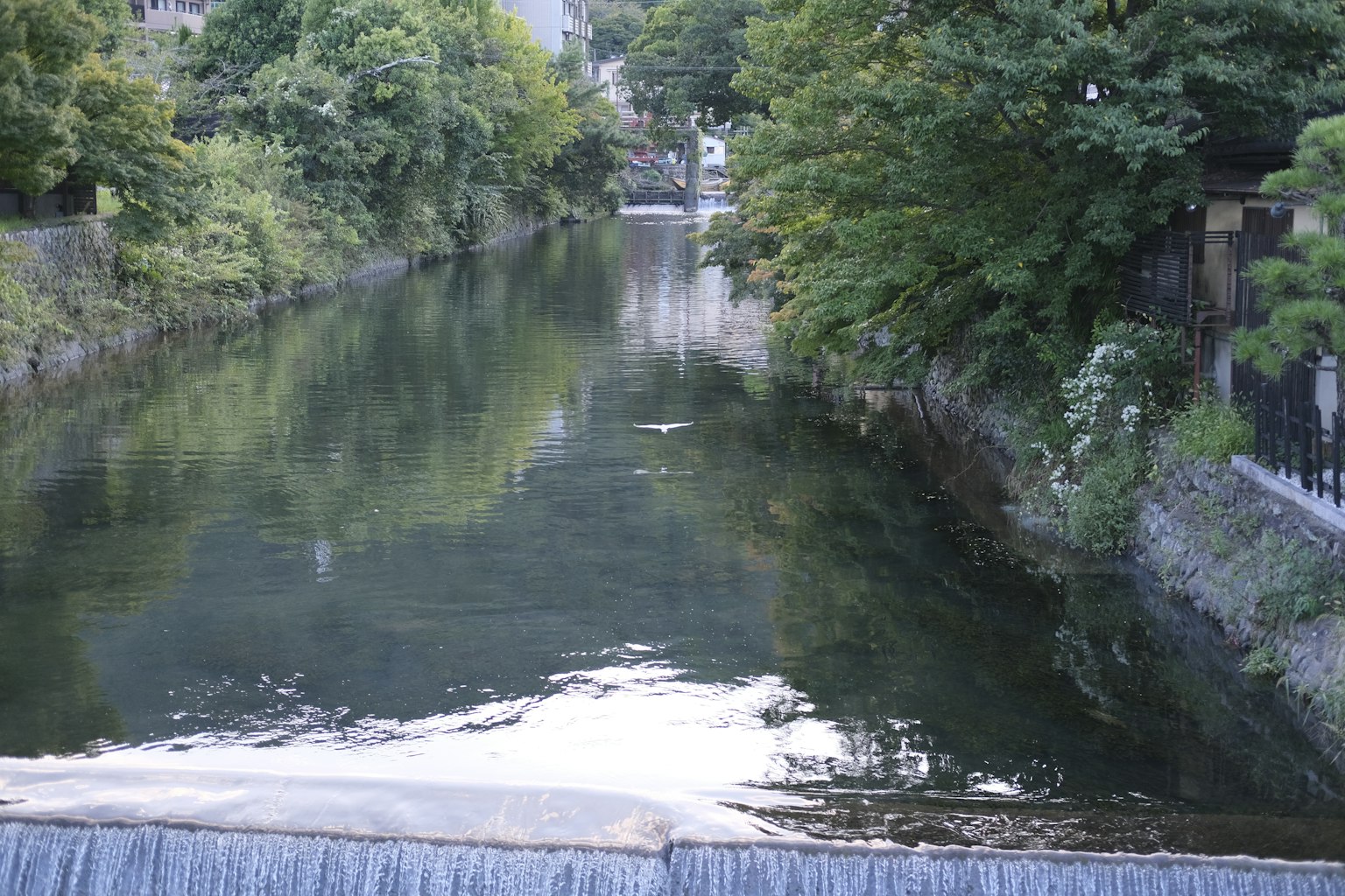 静かな川と緑の木々の風景