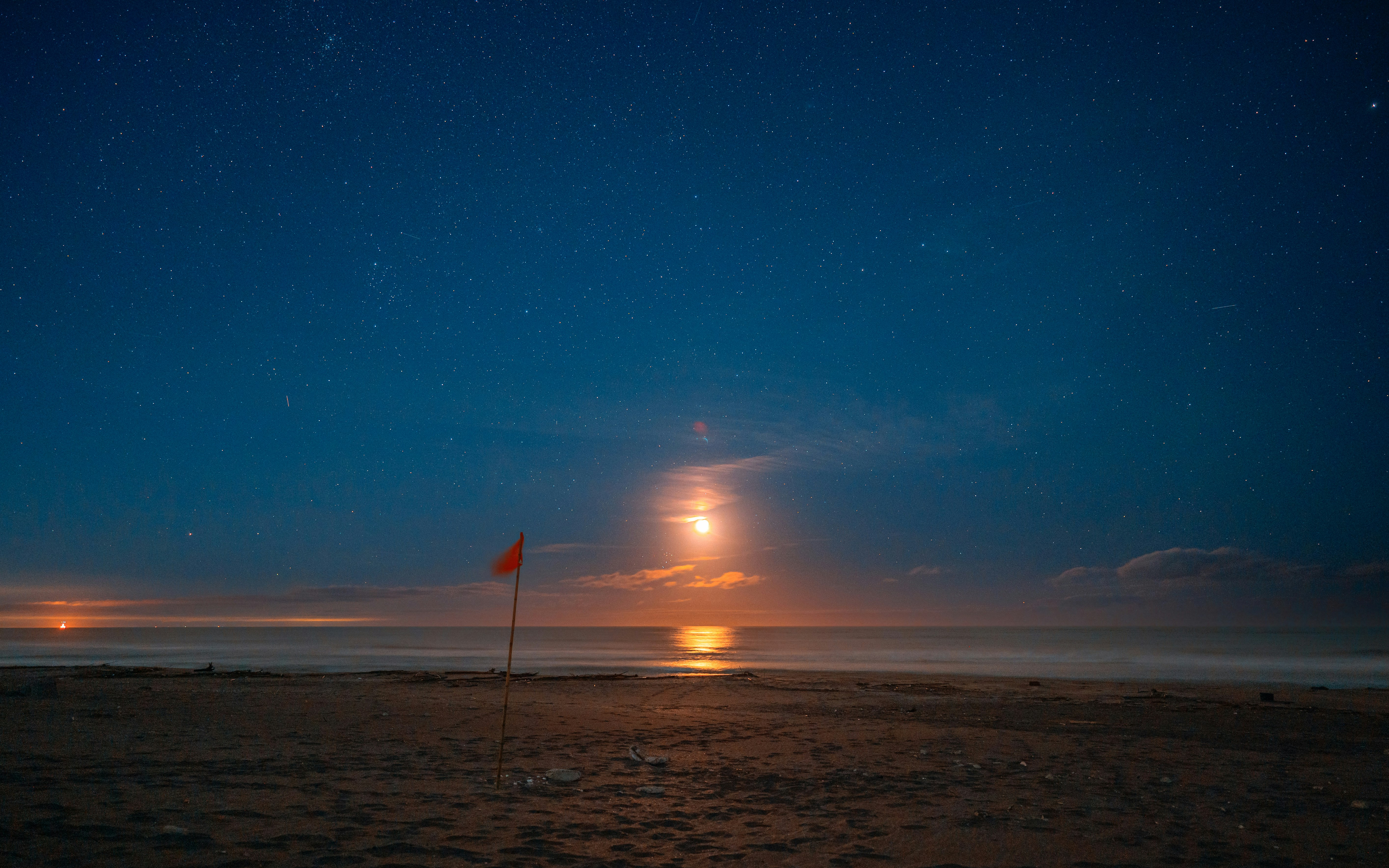playa iluminada por la luna bajo un cielo estrellado
