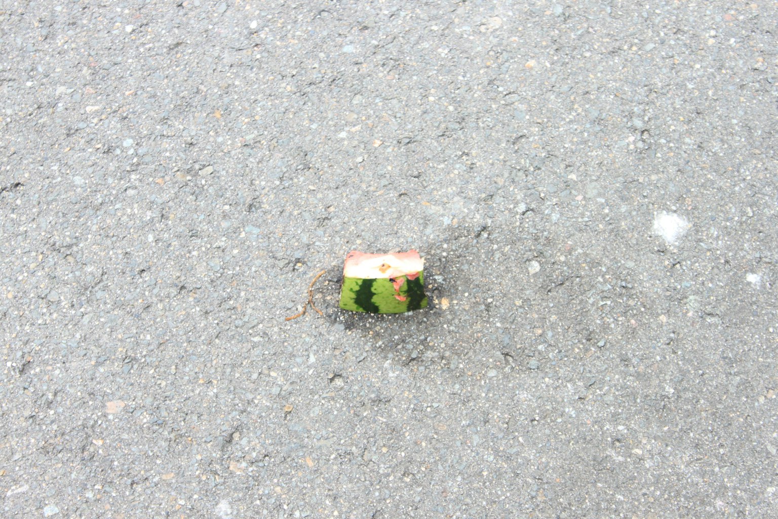 道路に置かれた小さなスイカの皮