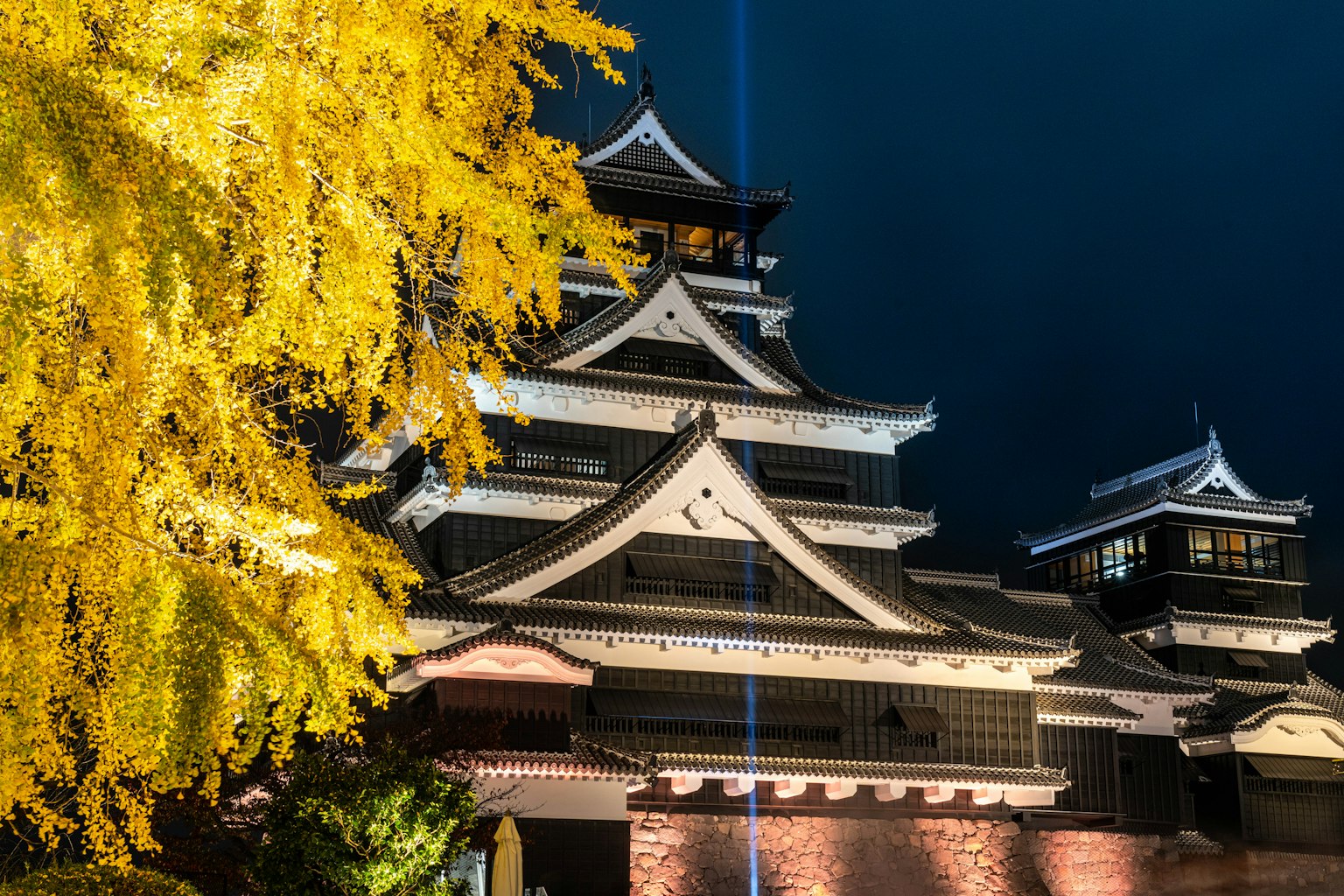 Beautiful castle illuminated at night with a yellow ginkgo tree