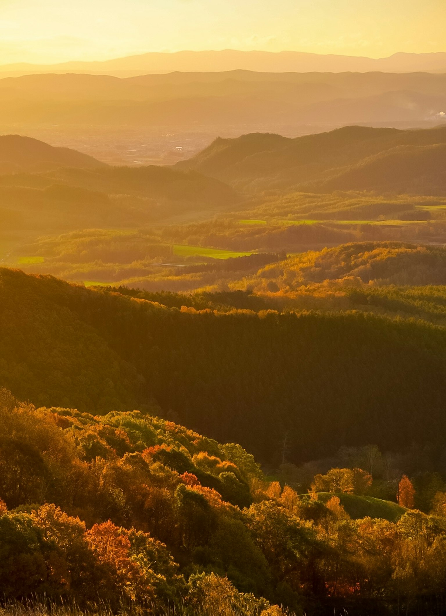 Tramonto su colline ondulate con alberi colorati e valli