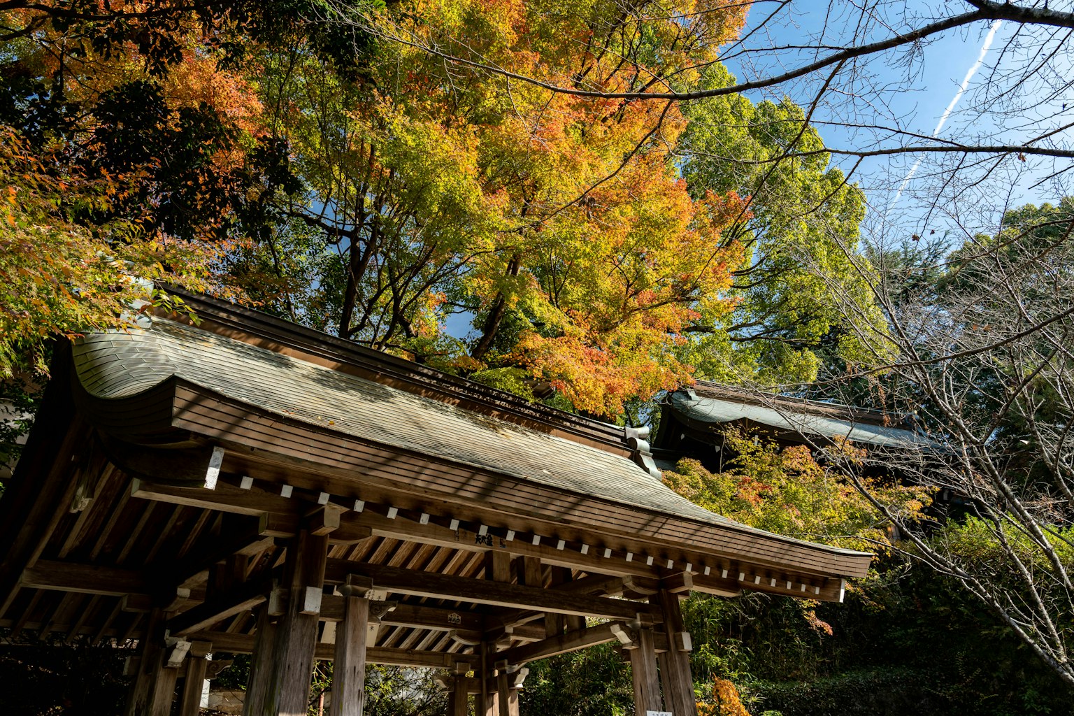 Vue pittoresque avec feuillage d'automne et architecture japonaise traditionnelle