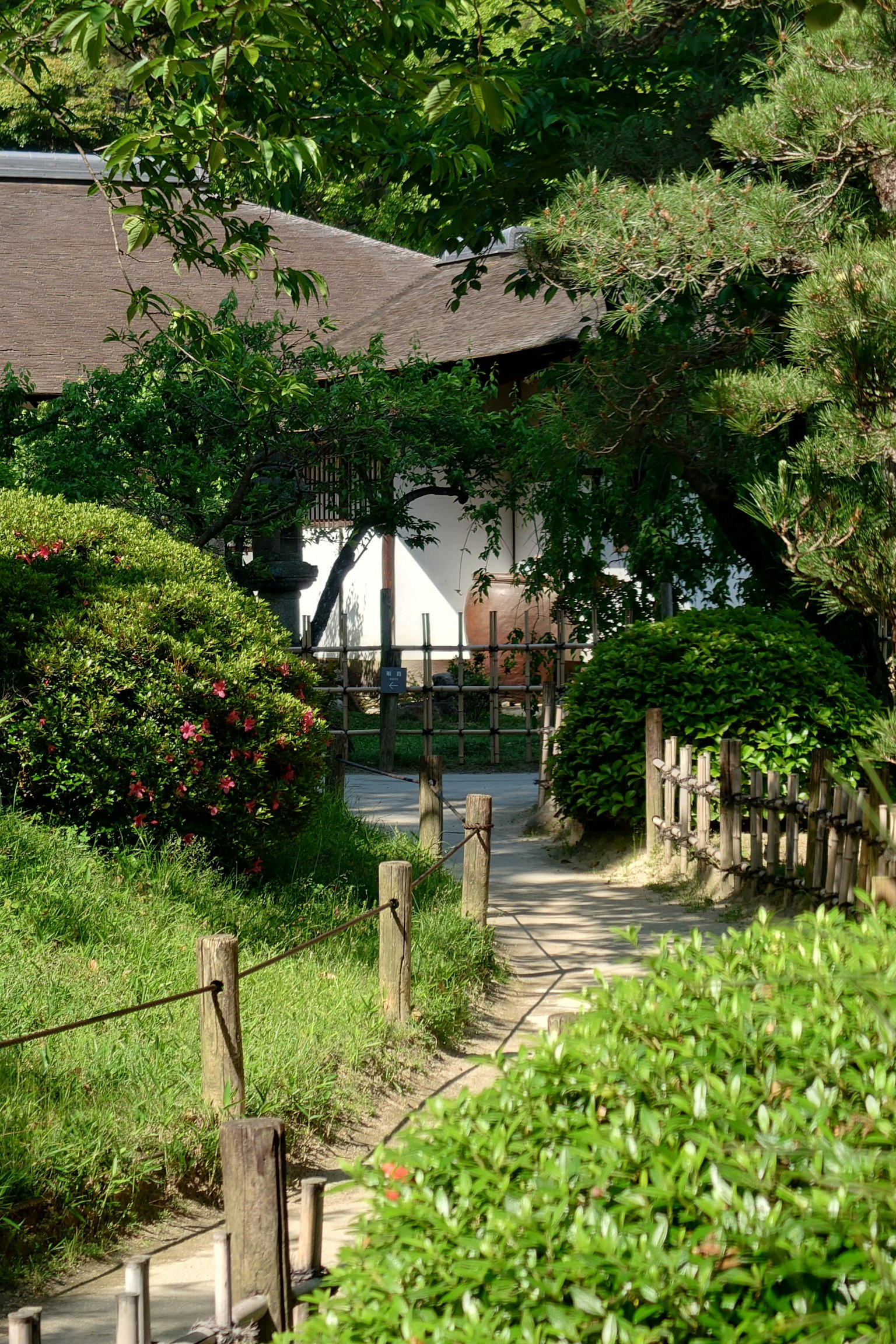 A serene pathway in a Japanese garden surrounded by lush greenery and shrubs