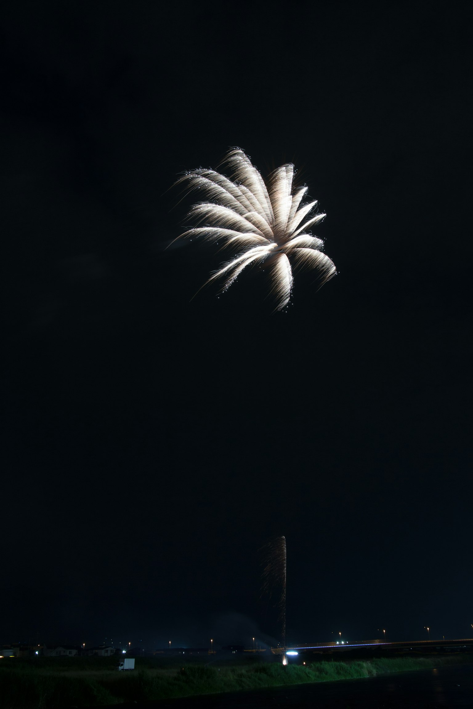Hermoso fuego artificial que se asemeja a una flor en el cielo nocturno