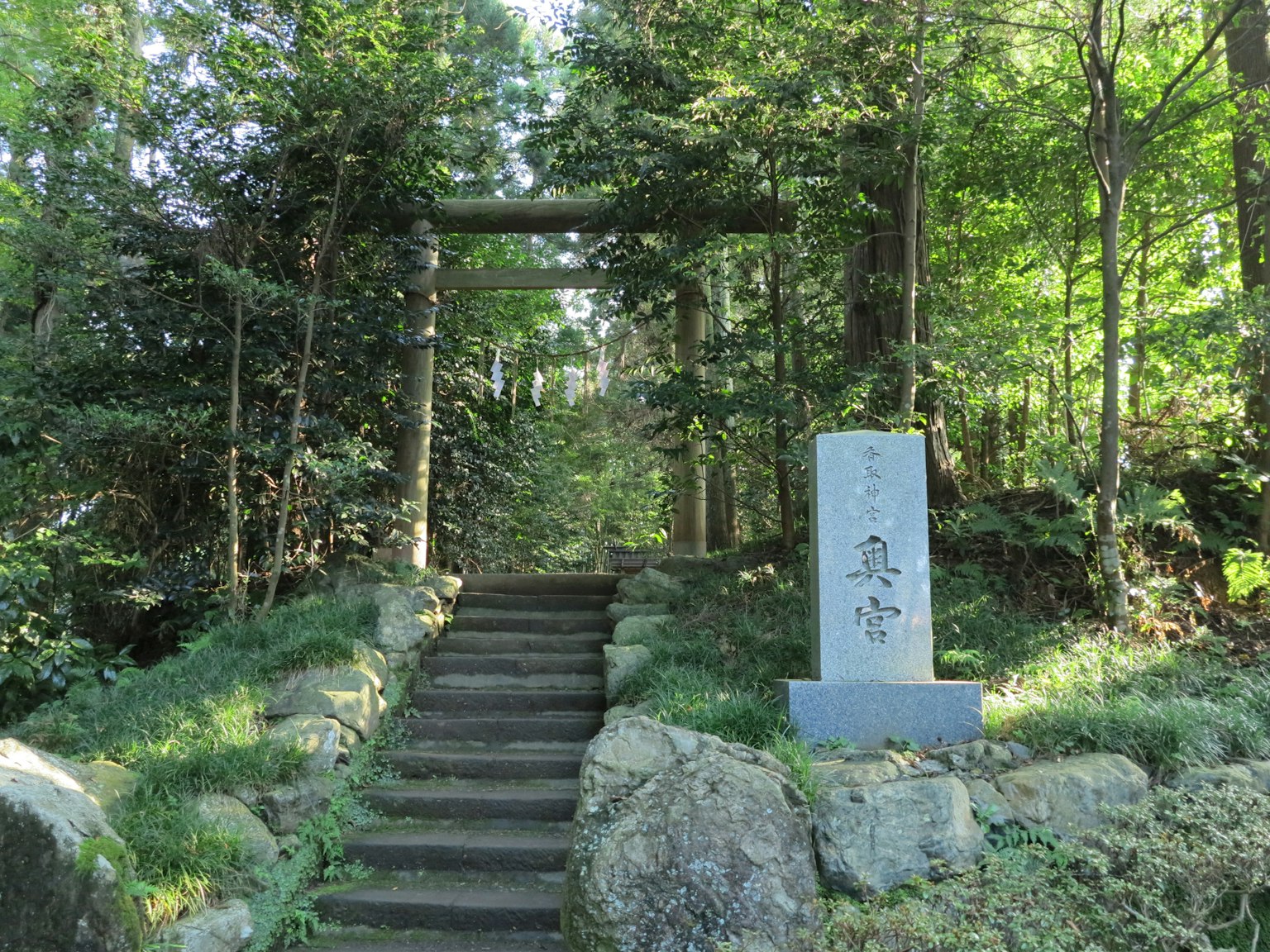 森林中石階通往鳥居的風景