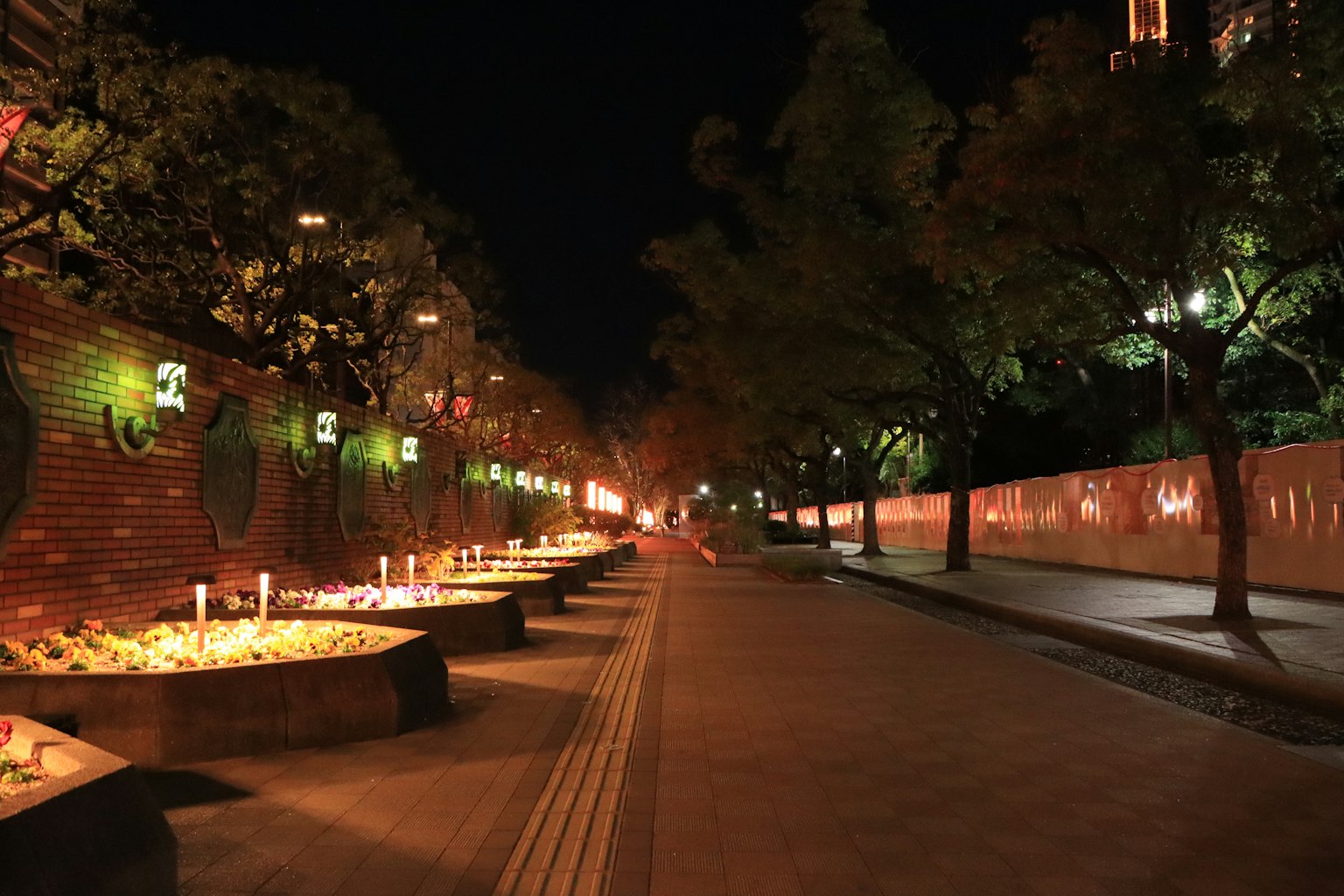 Promenade bordée d'arbres dans un parc la nuit avec un éclairage doux