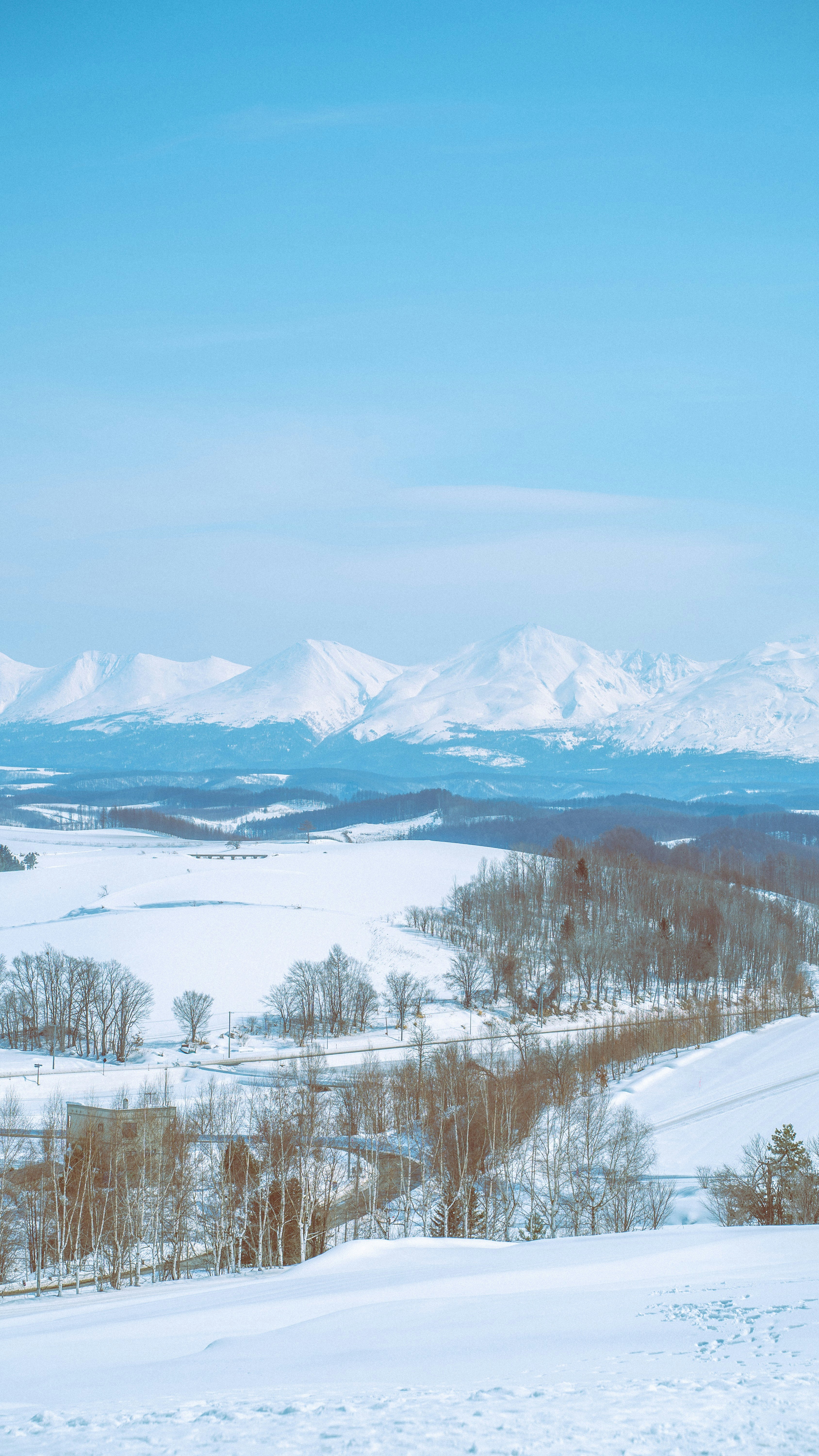 四季彩之丘の冬景色、雪原と山並みが広がる