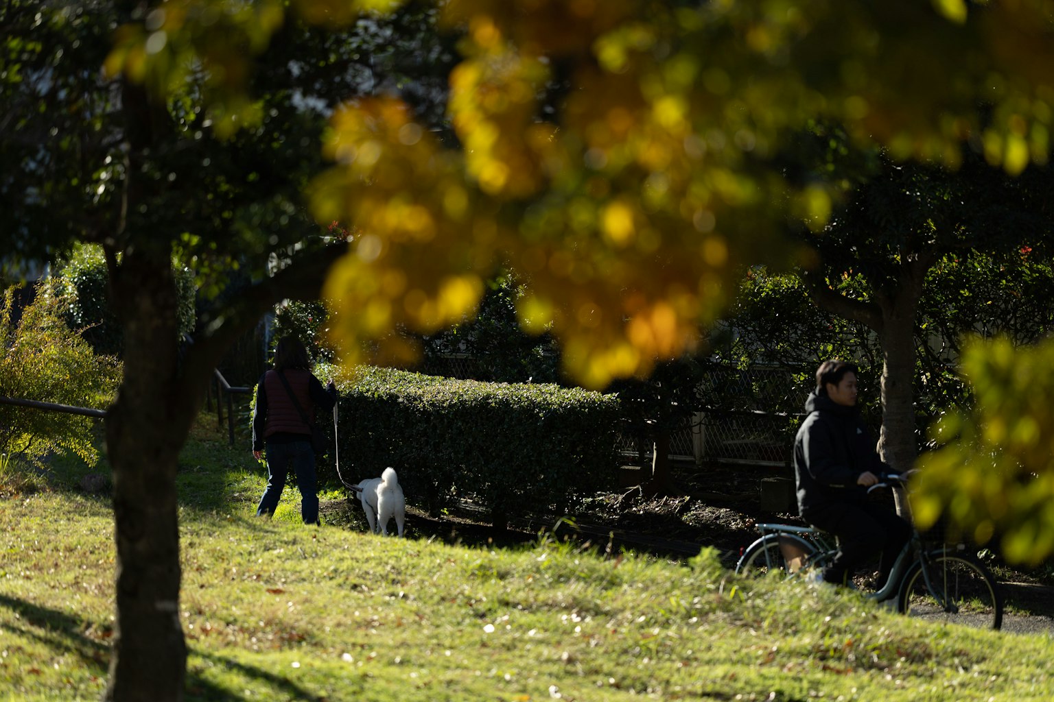 Personas caminando en un parque con un perro hojas de otoño en primer plano