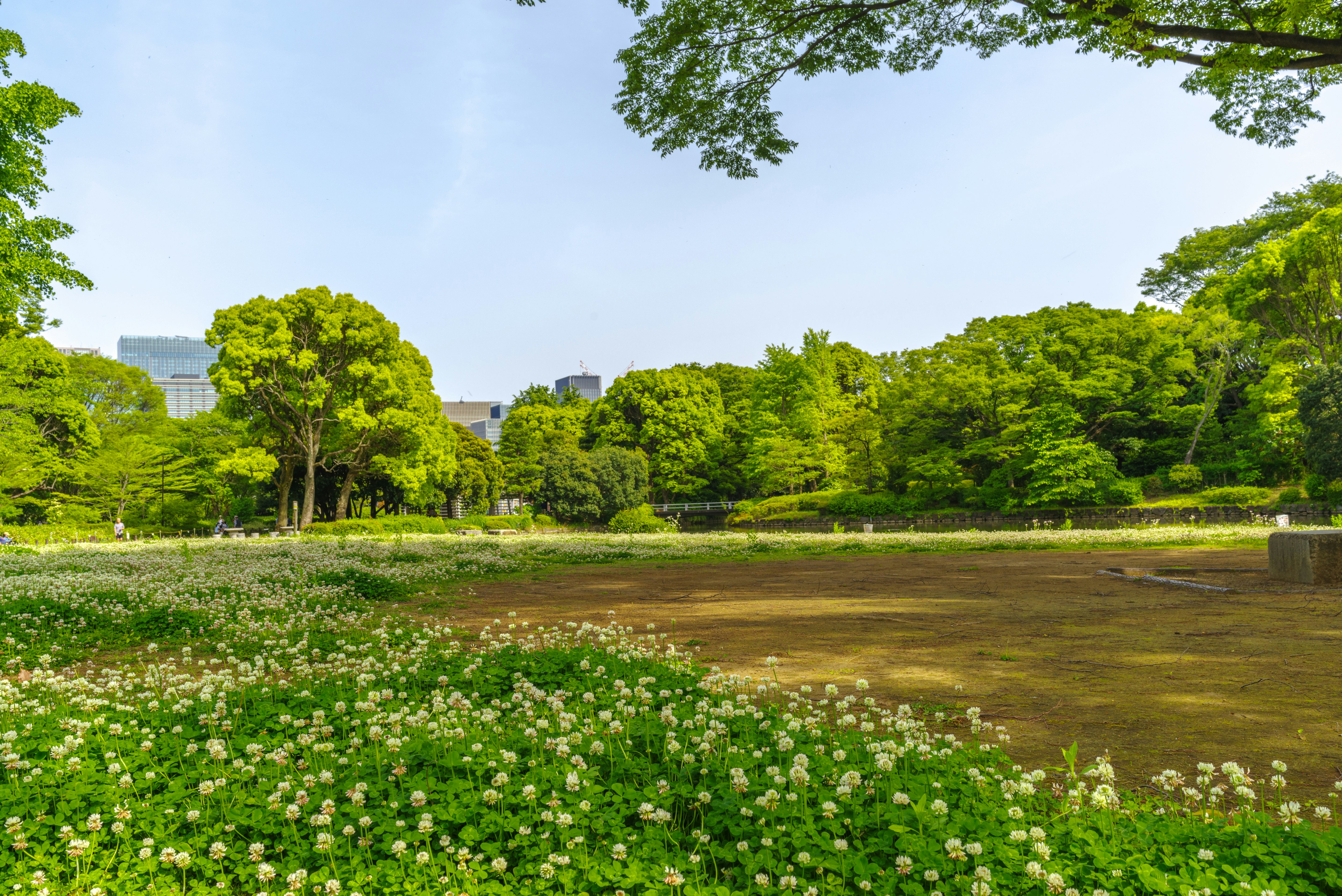 花畑と芝生が広がる公園の緑の景色