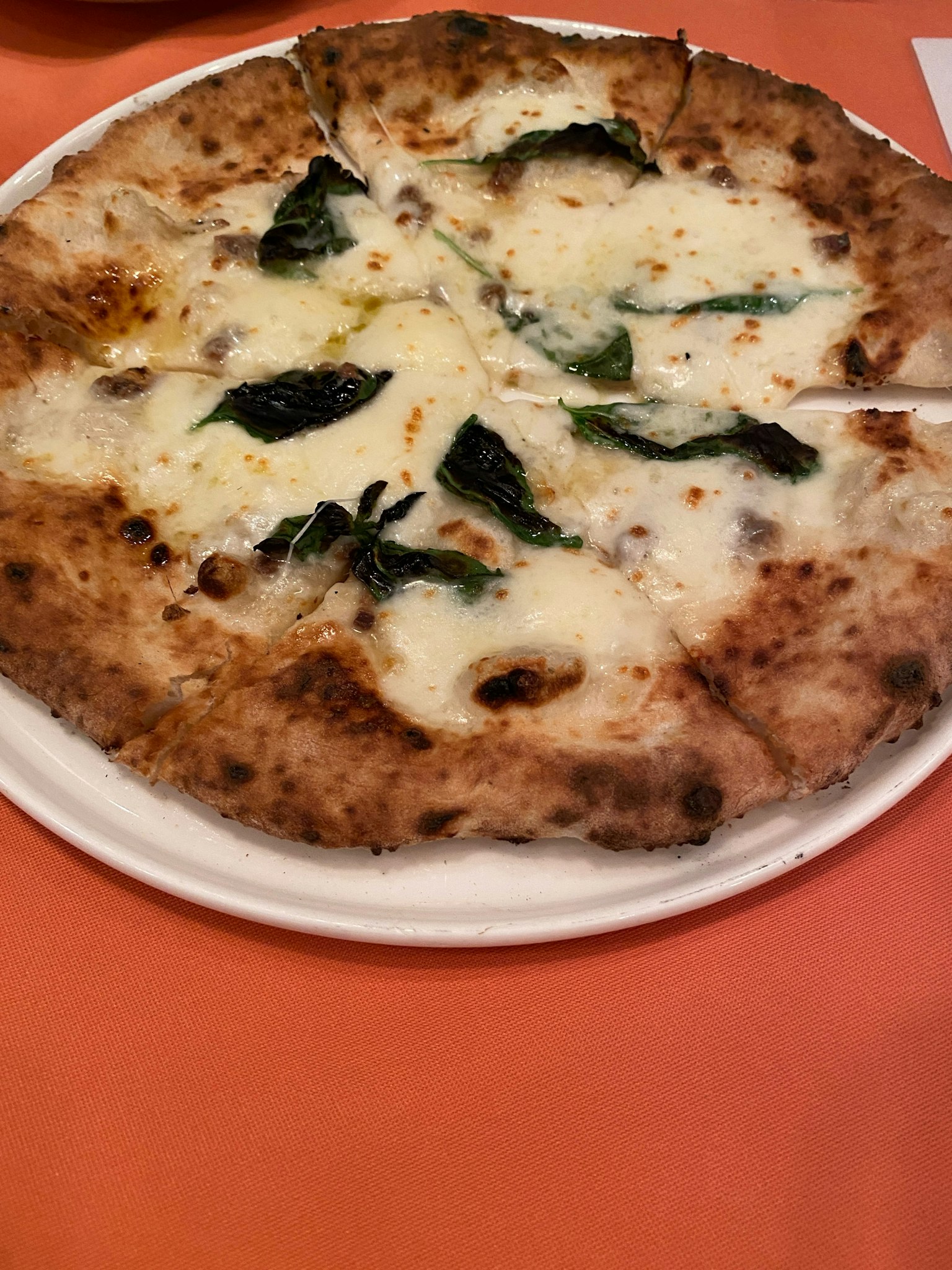 Pizza nướng bằng lửa gỗ với mozzarella và húng quế
