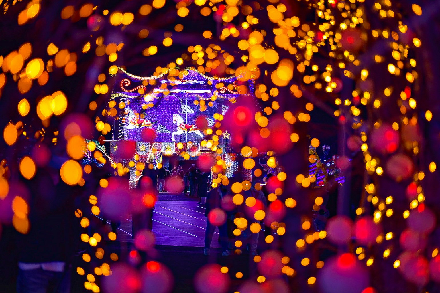 ลูกไฟสีสันสดใสสร้างฉากหลังที่มีชีวิตชีวาพร้อมวงดนตรีแสดงอยู่ตรงกลาง