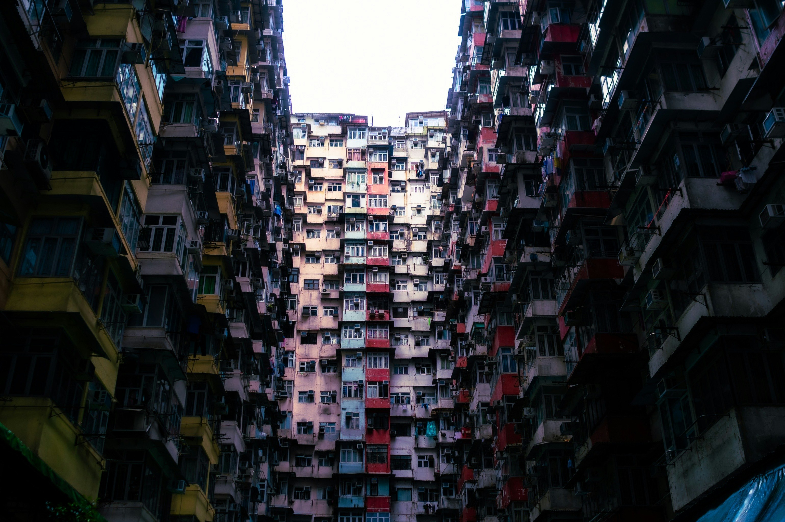photo-mRiu8V3ELWzDIMRjReRa-image