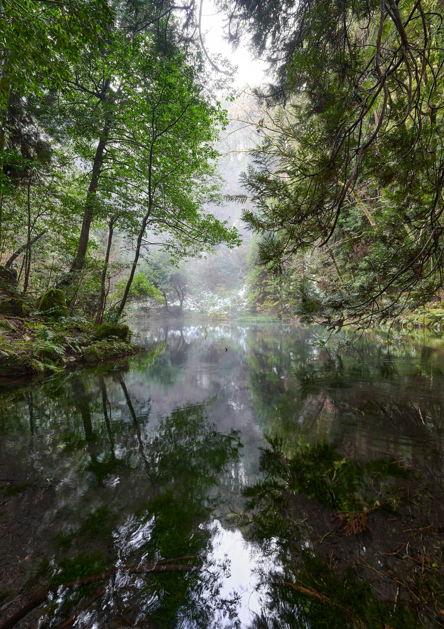 photo-mSPTI1ZnTtxVj9RwiQ1D-image