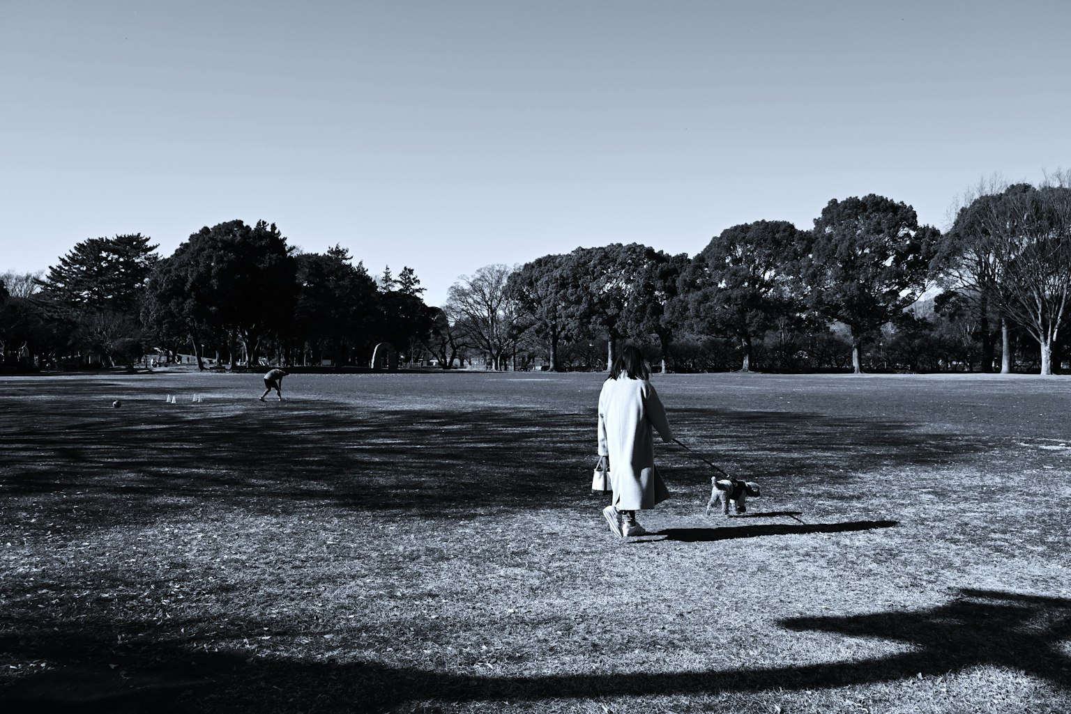 Schwarzweißfoto einer Person, die einen Hund in einem Park spazieren führt