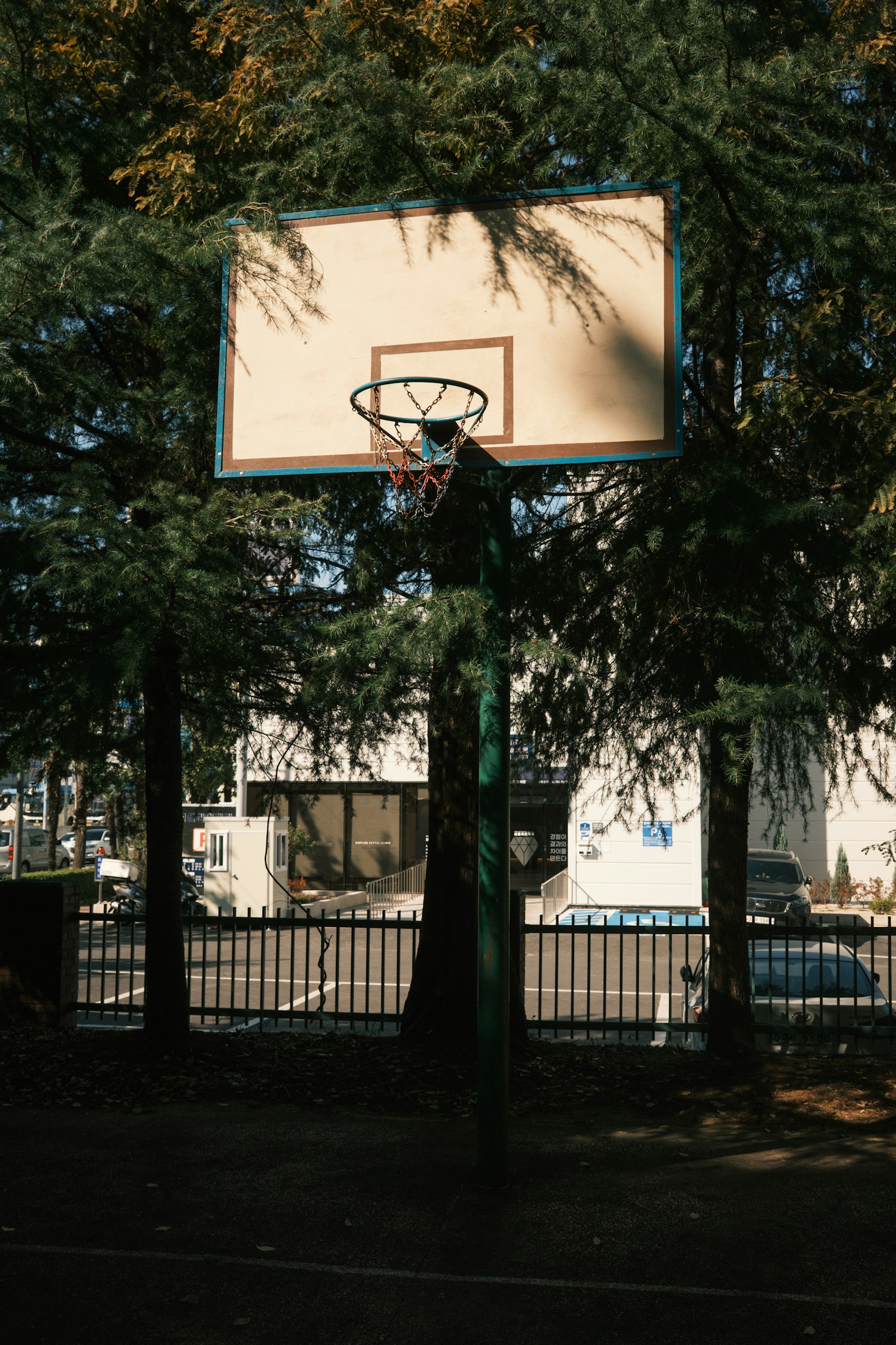 バスケットボールのゴールが木々の間に立っている公園の風景