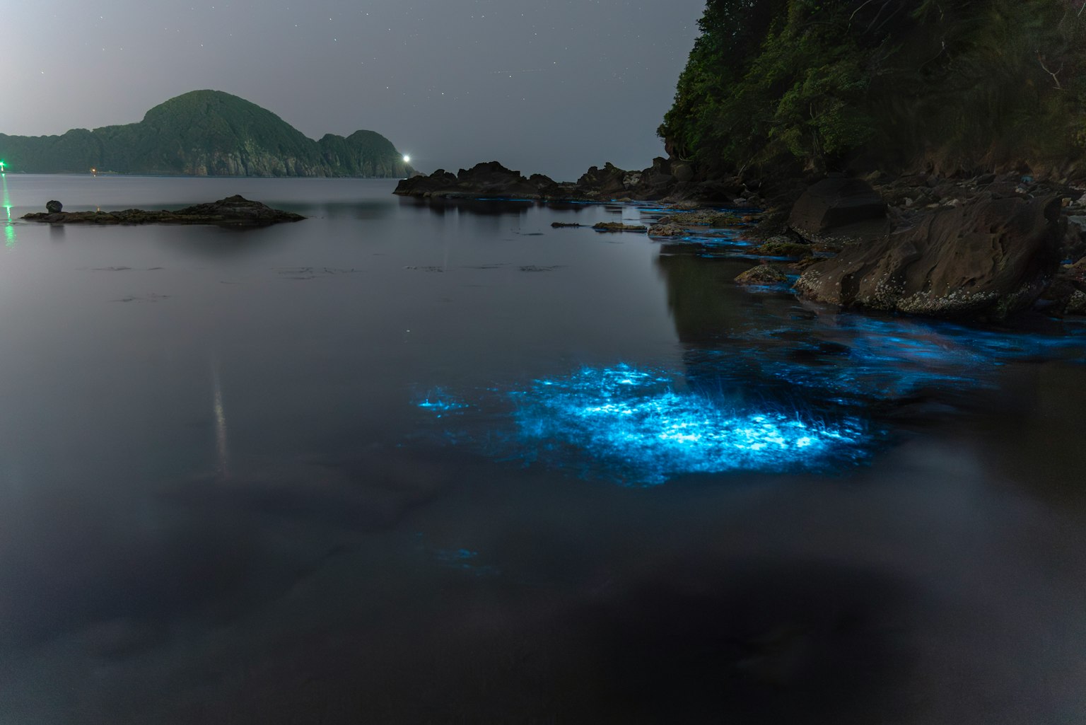 Una scena mistica di luci blu brillanti nell'oceano scuro