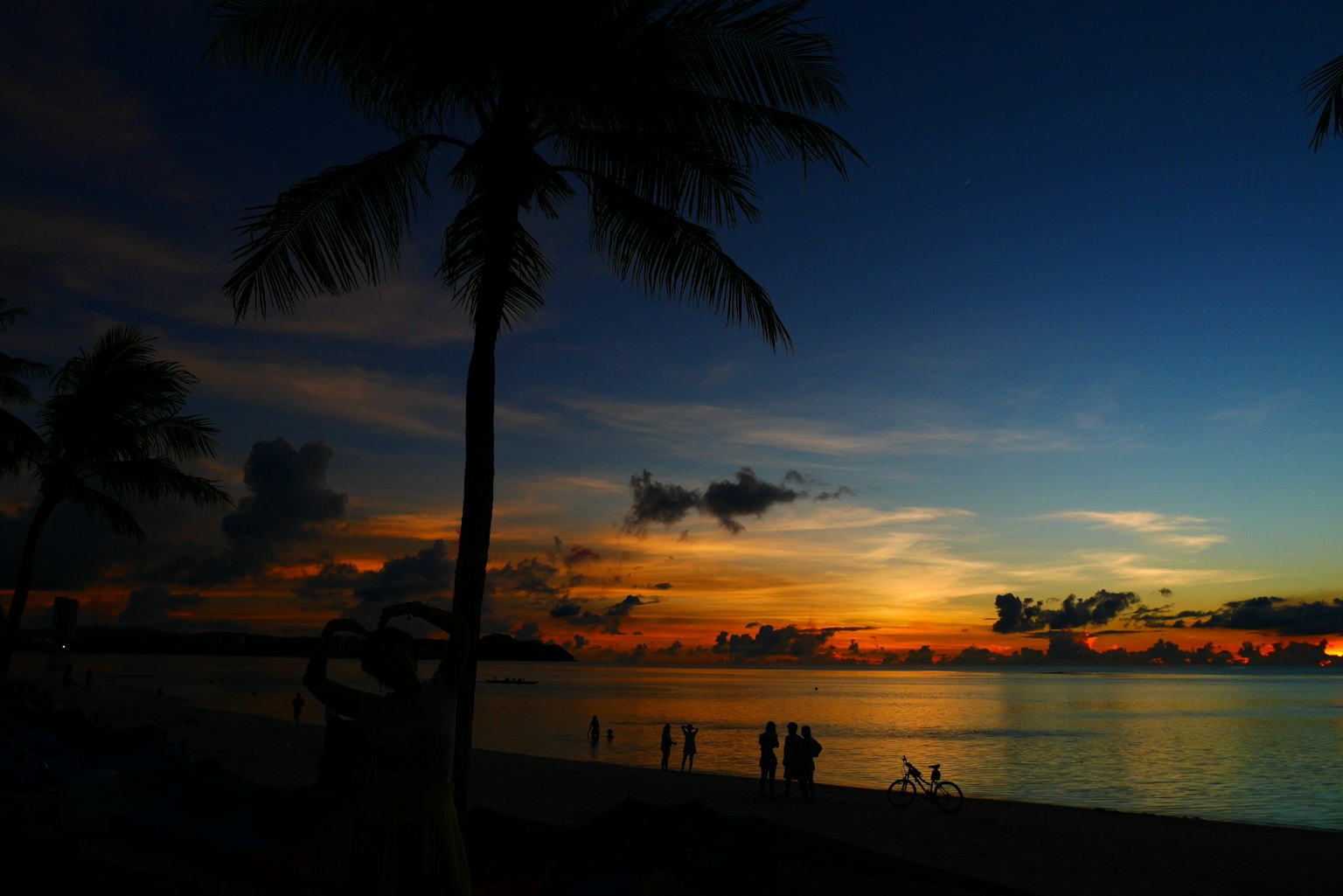 Beautiful sunset over the ocean with silhouettes of palm trees