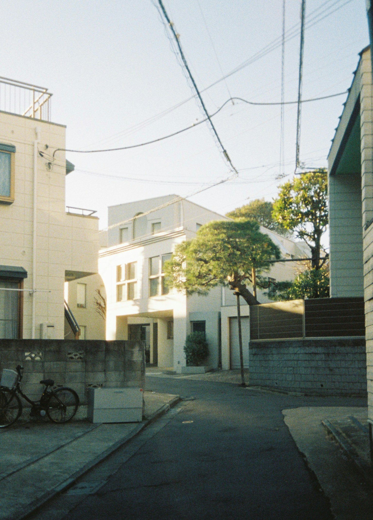 Calle residencial tranquila con casas blancas y árboles
