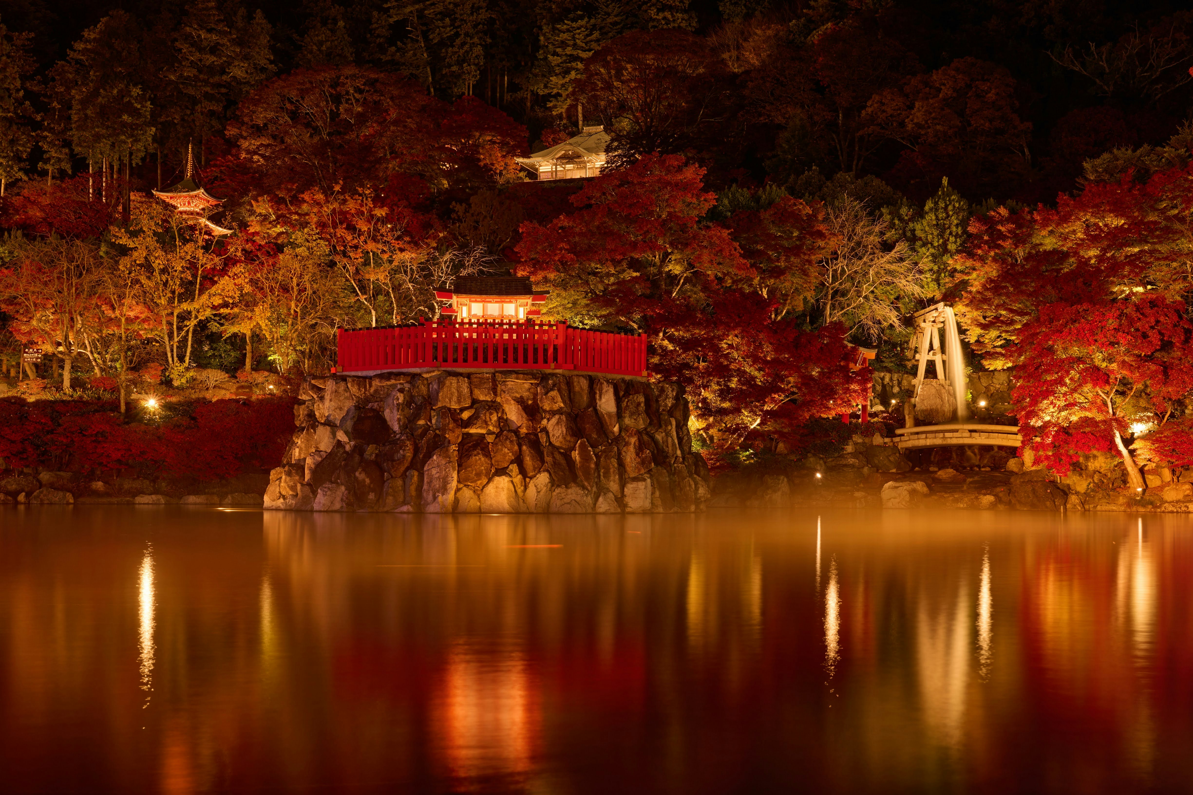 紅葉のライトアップと池に映る橋の夜景