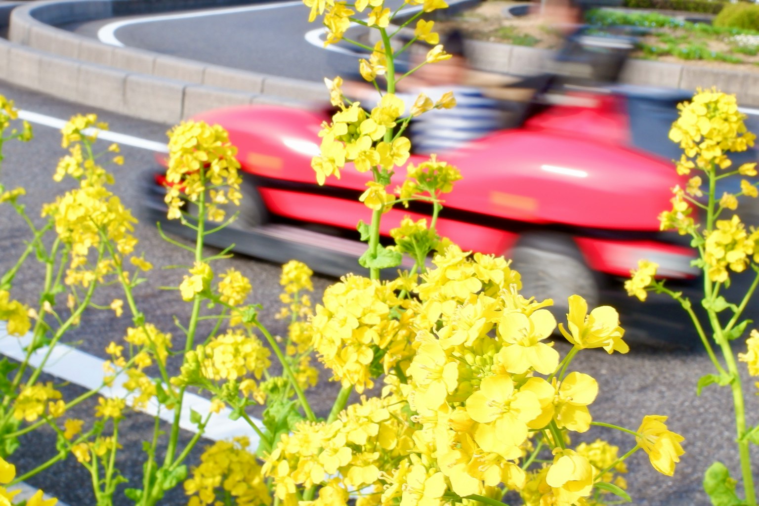 Bunga kuning di latar depan dengan mobil merah yang blur bergerak