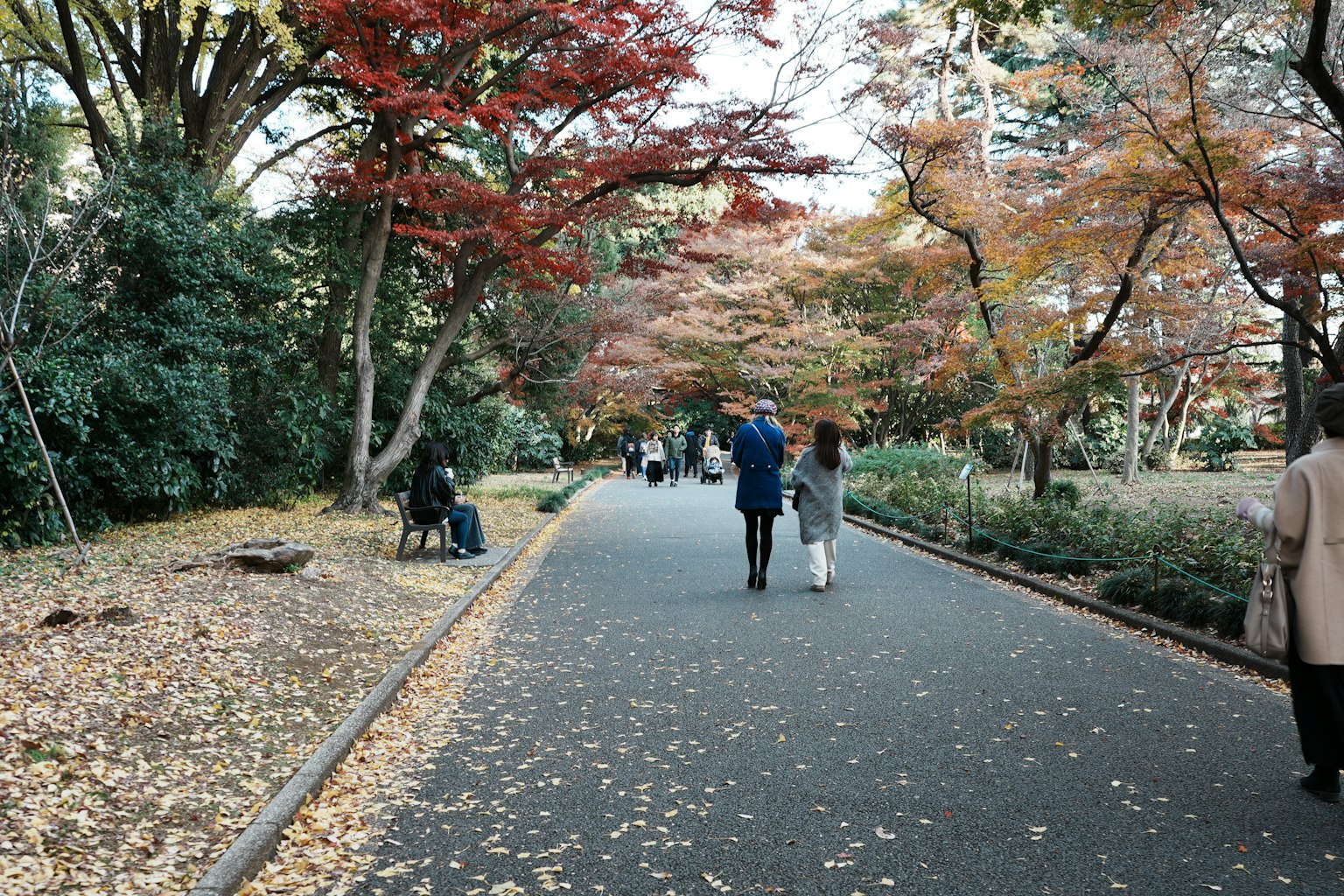 Des gens marchant sur un chemin de parc avec de magnifiques feuillages d'automne