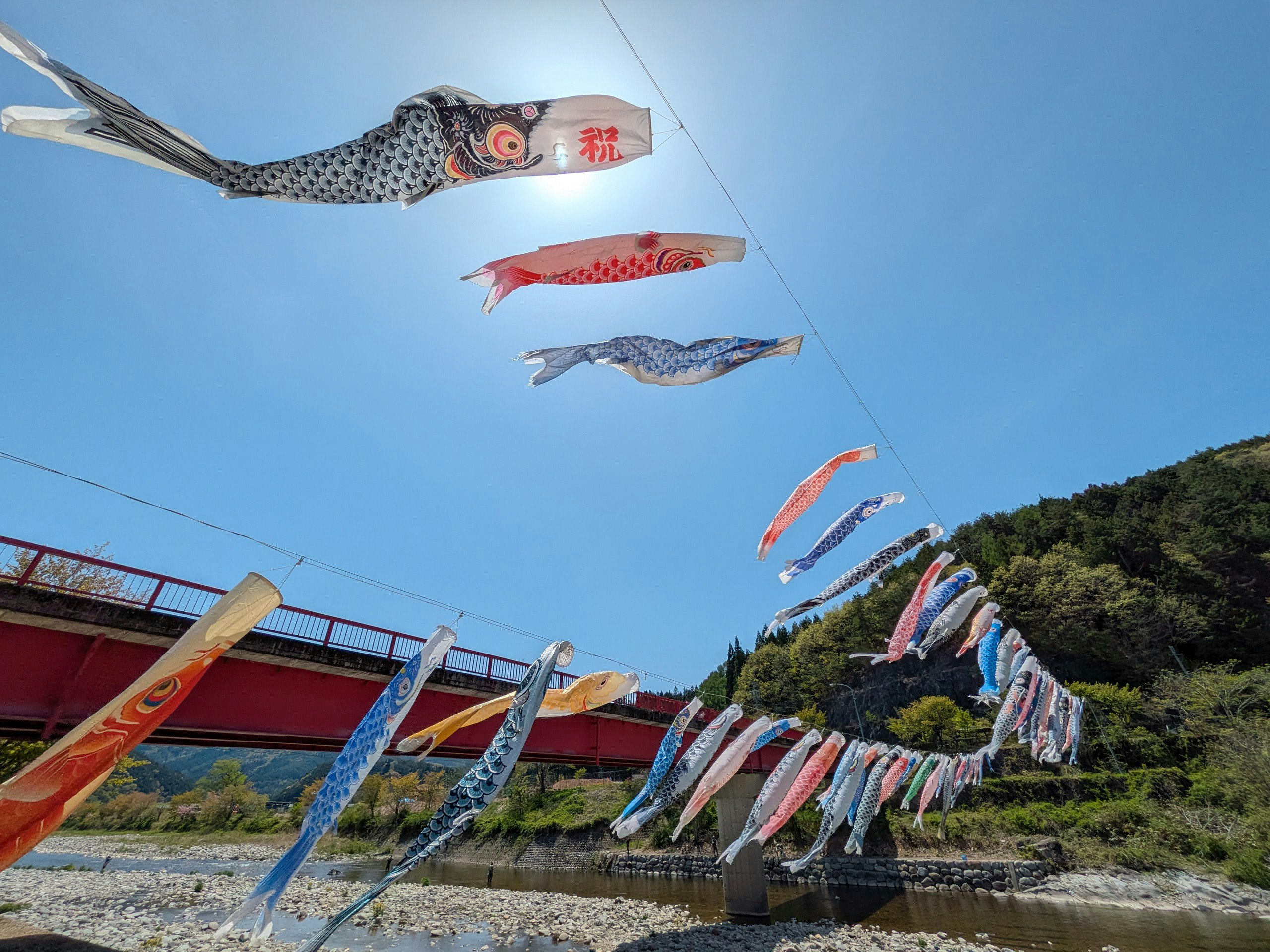 cerfs-volants en forme de carpes koinobori flottant au bord d’une rivière sous un ciel bleu
