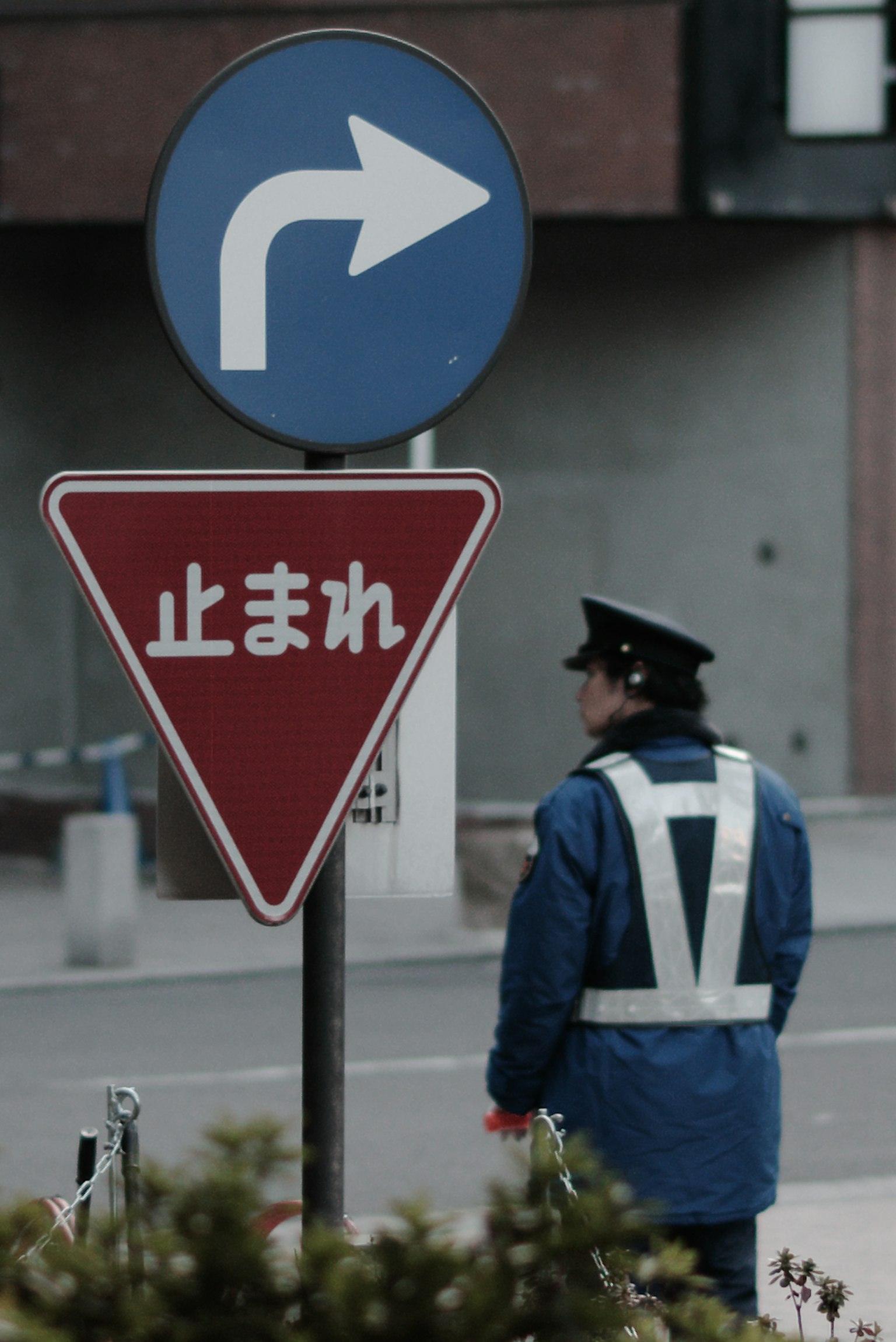 警察站在蓝色右转标志和红色让行标志前面