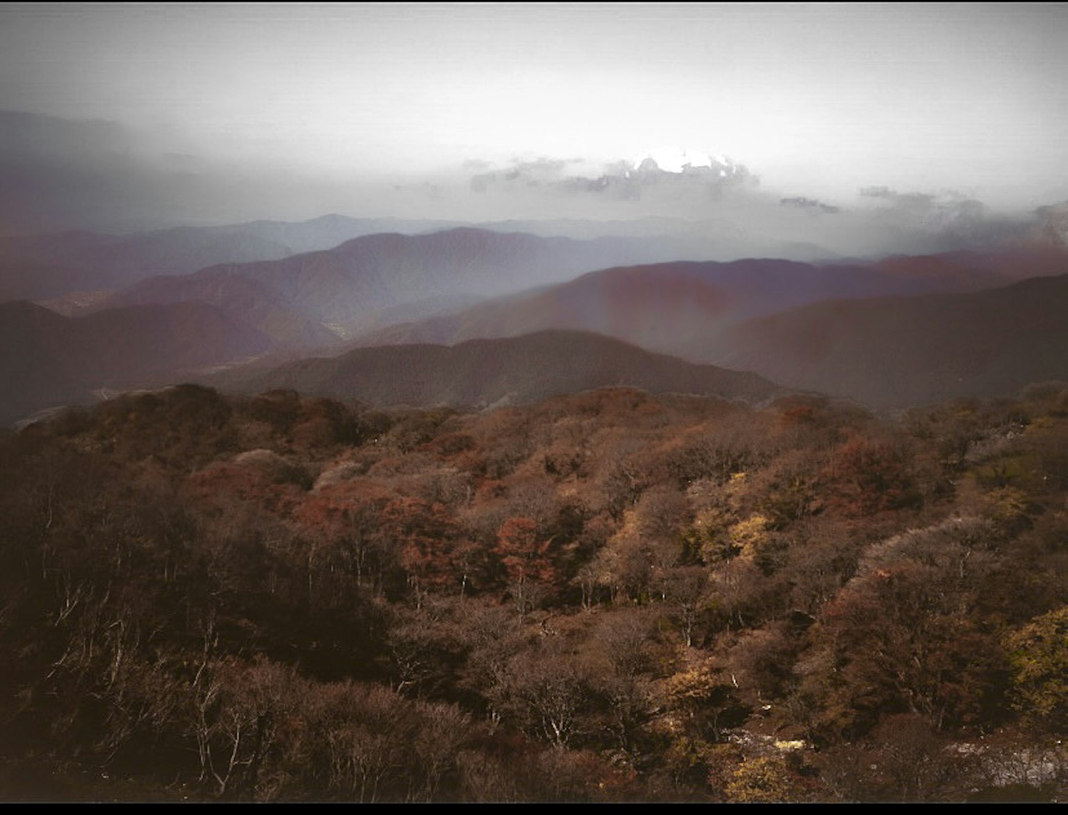 가을 산의 경치 안개에 둘러싸인 다채로운 잎사귀