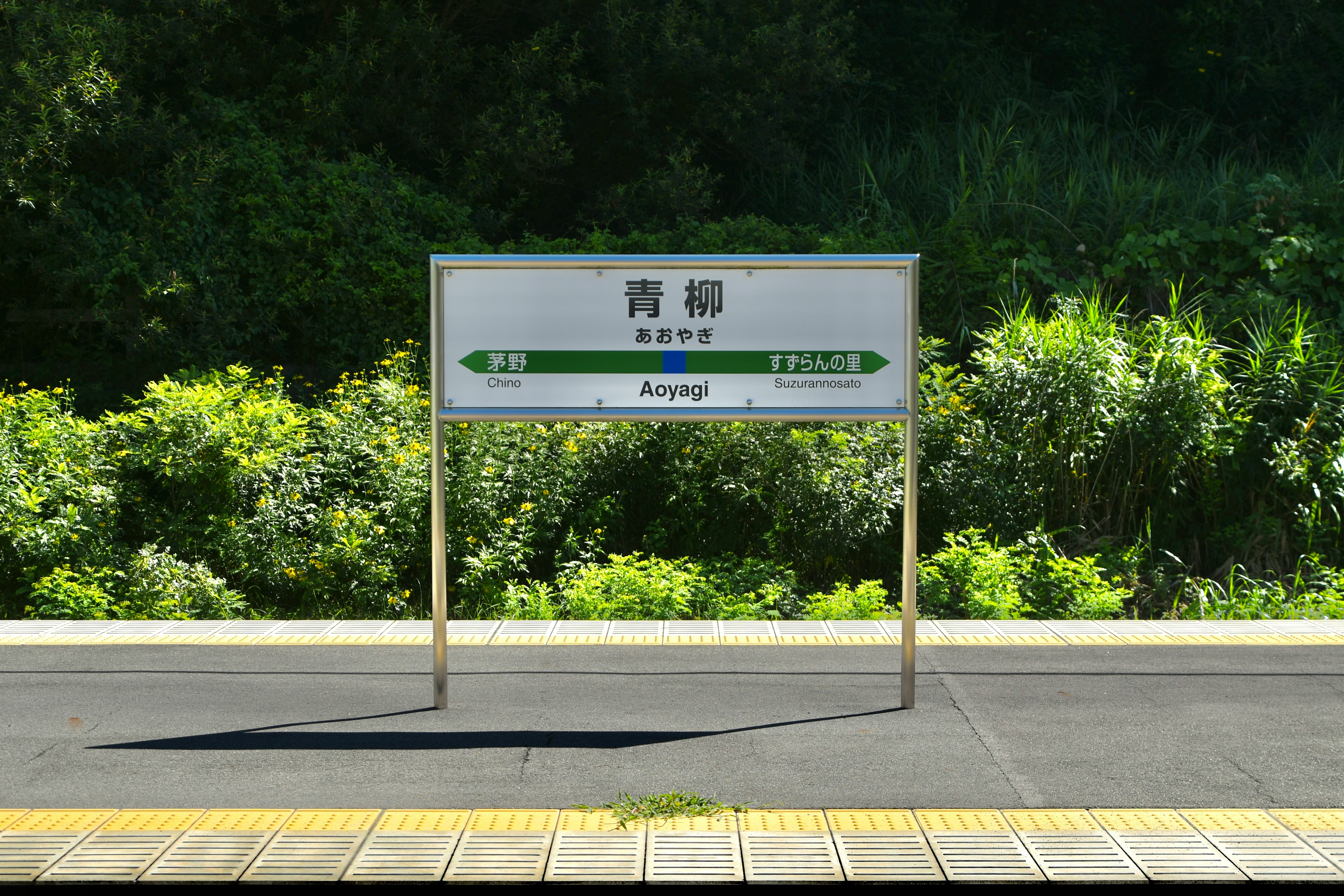 Un sendero verde con un cartel informativo Aoyanagi