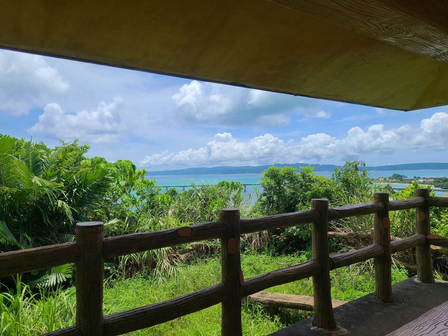郁郁蔥蔥的綠地與海洋和藍天的美麗景色