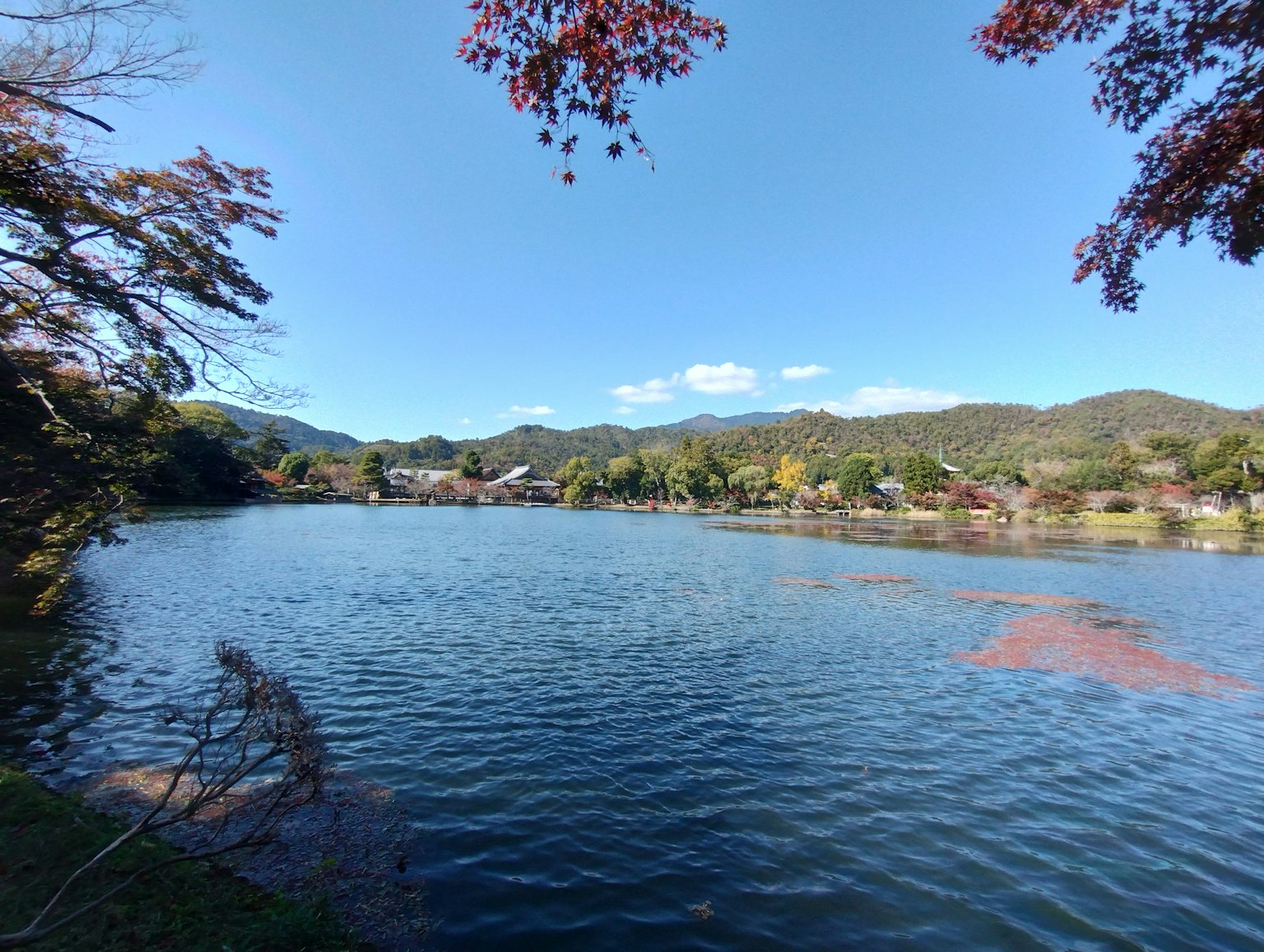 Serene lake view surrounded by mountains and trees