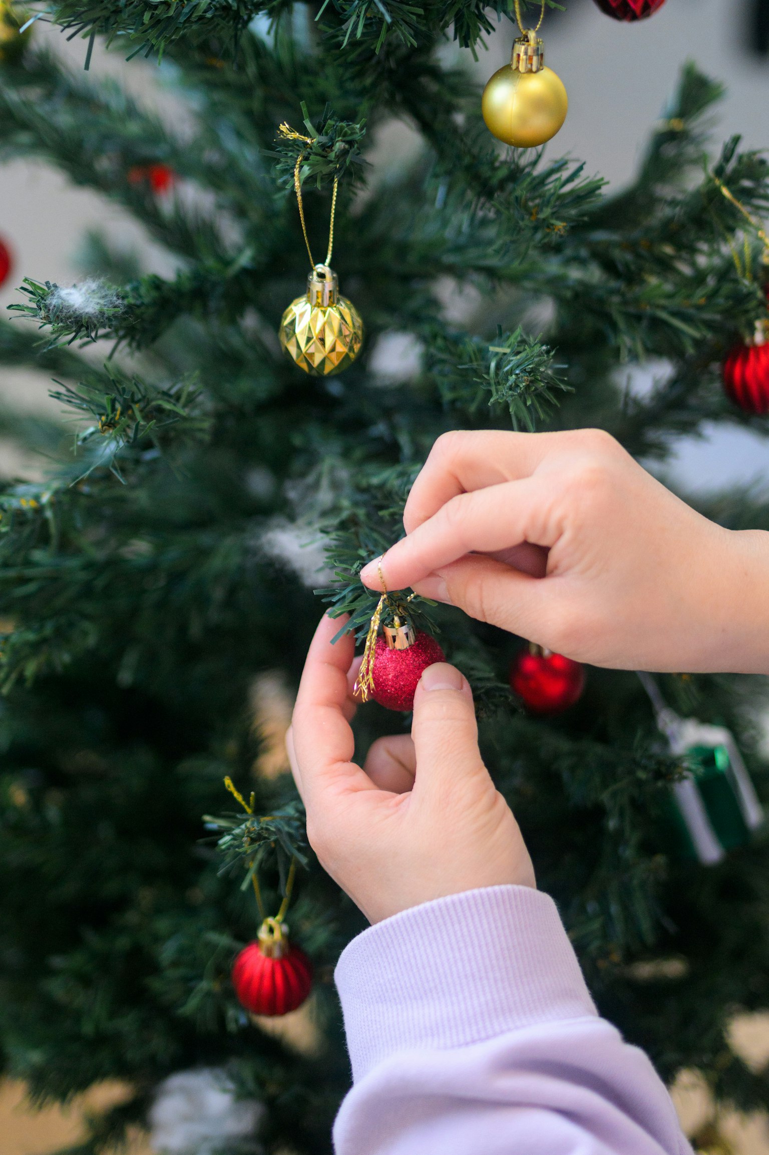 Hand, die ein rotes Ornament an einen Weihnachtsbaum hängt