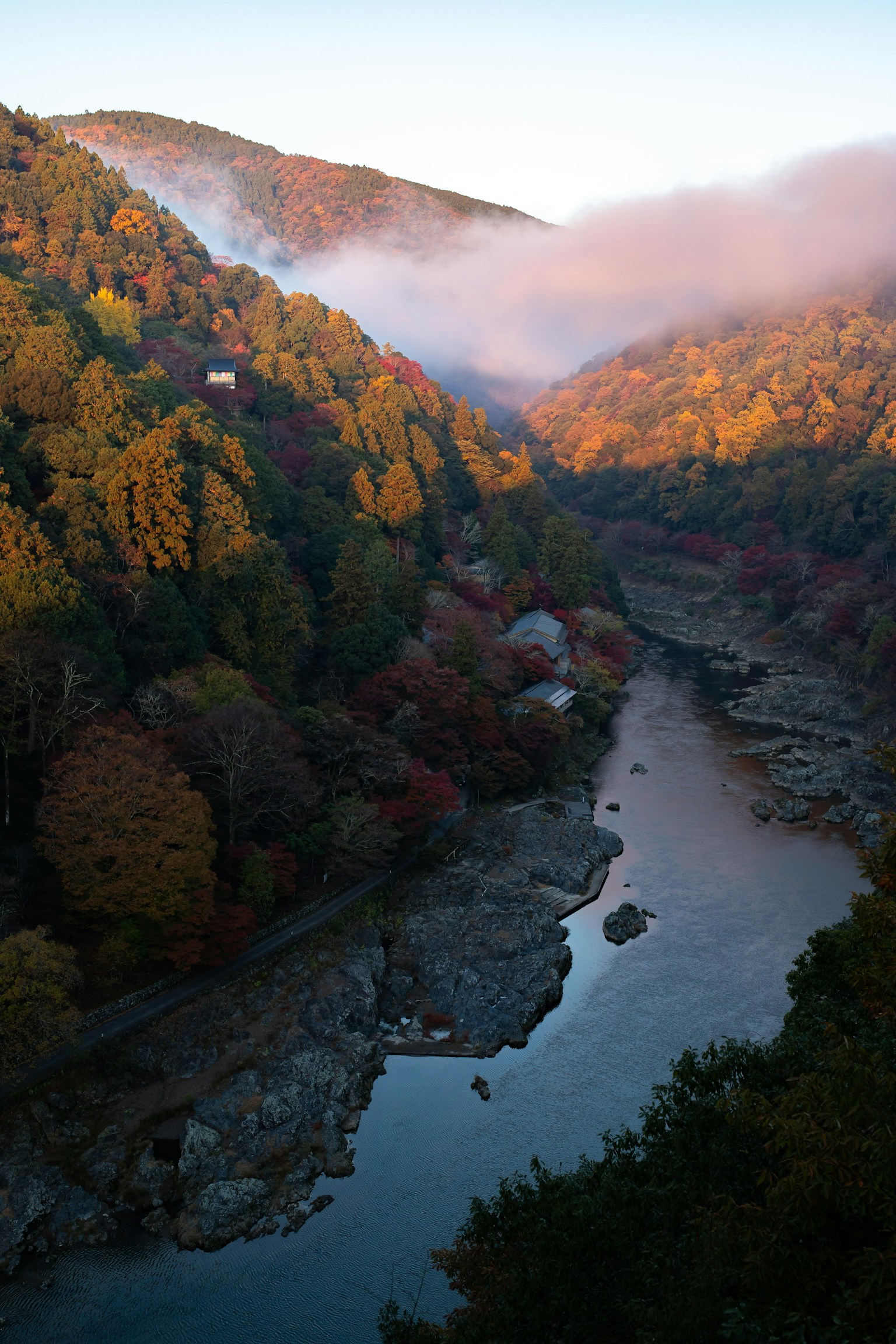 Scenic view of autumn foliage on mountains and a river mist in the early morning