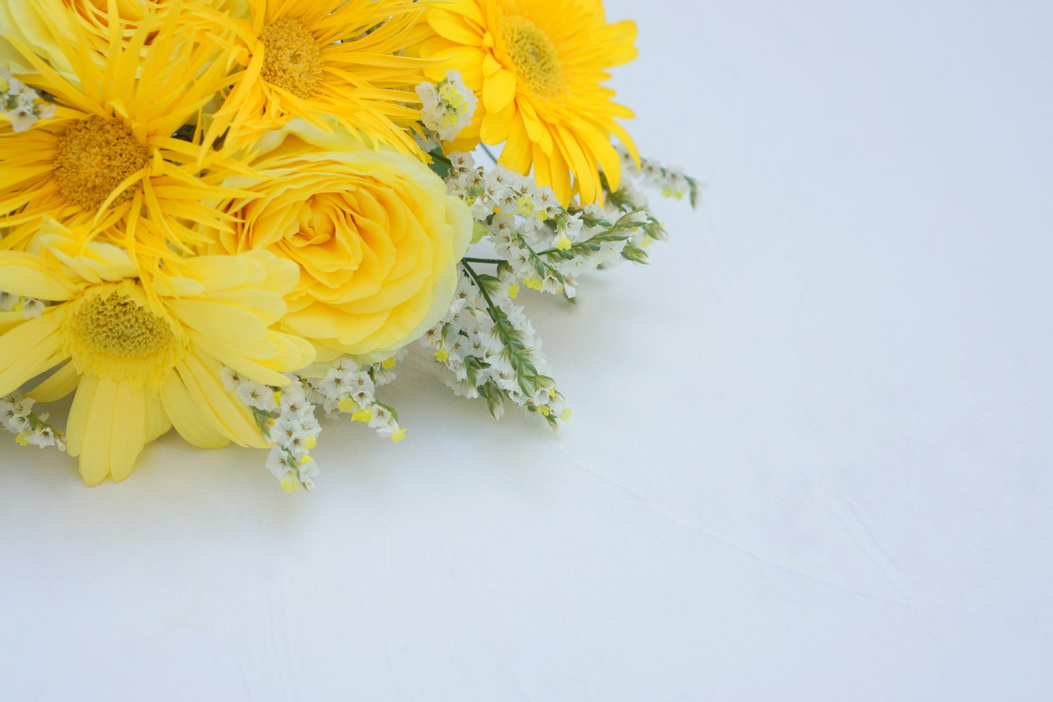 Ein Strauß gelber Blumen auf einem weißen Hintergrund angeordnet