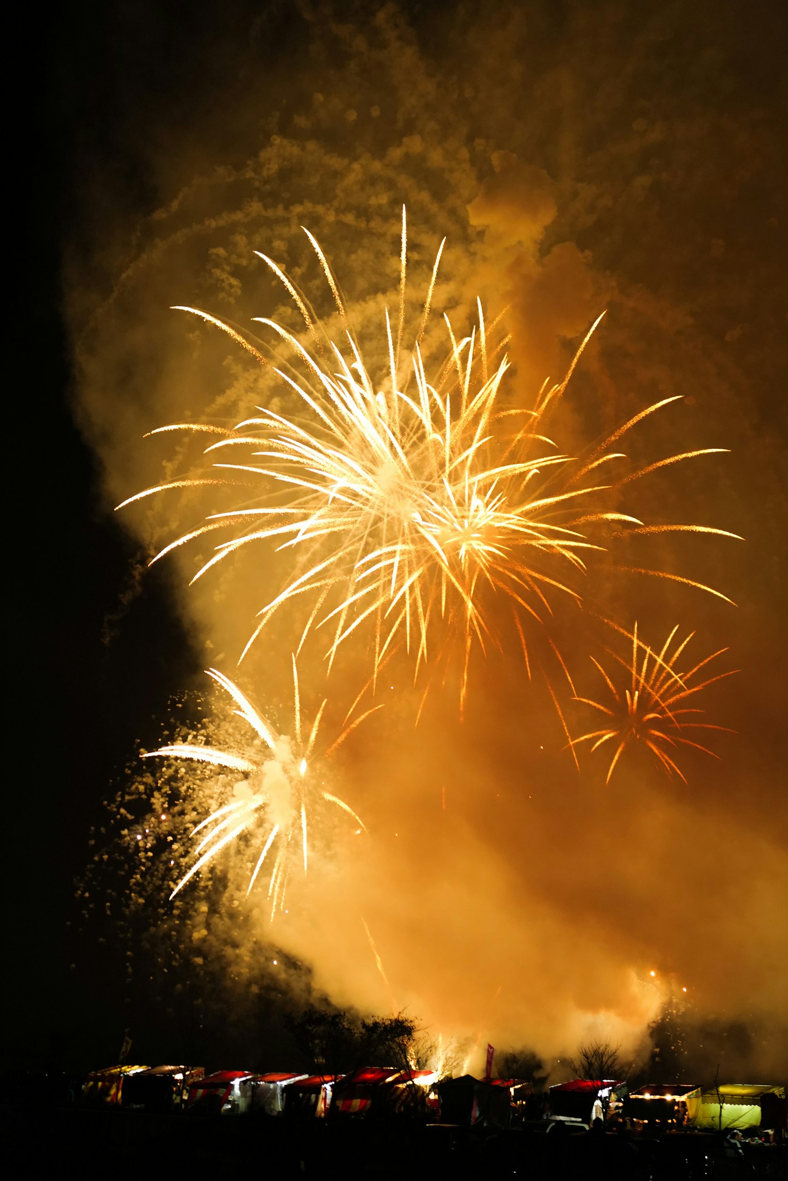 Beaux feux d'artifice explosant dans le ciel nocturne