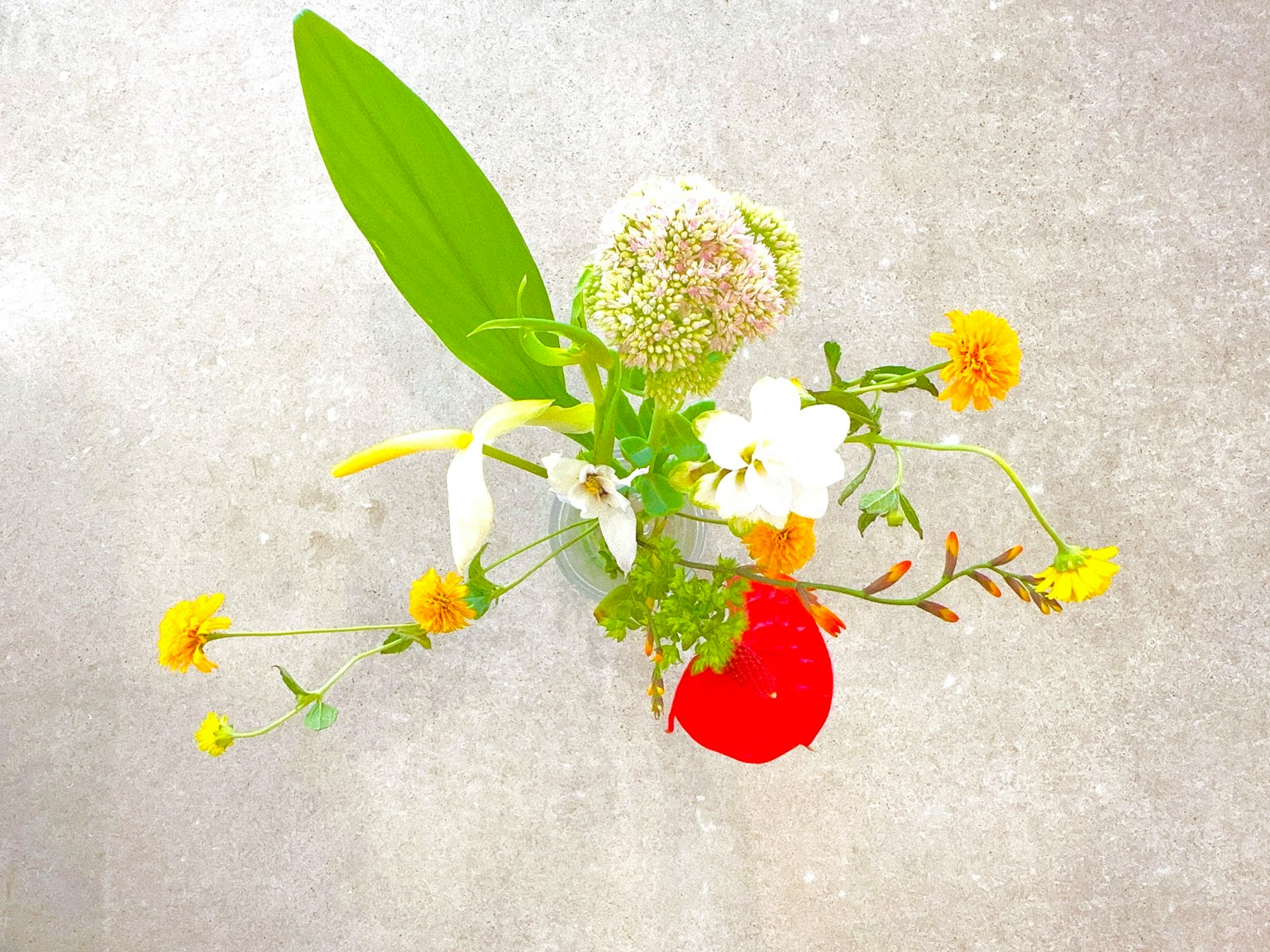 Ein schöner Strauß aus bunten Blumen und grünen Blättern