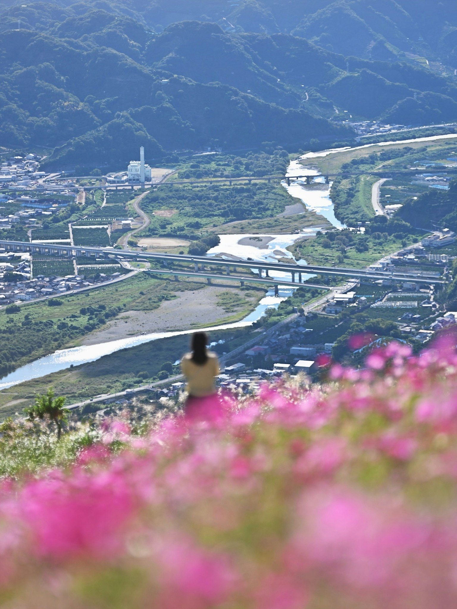 美しい花畑の前に座る女性と山々の景色